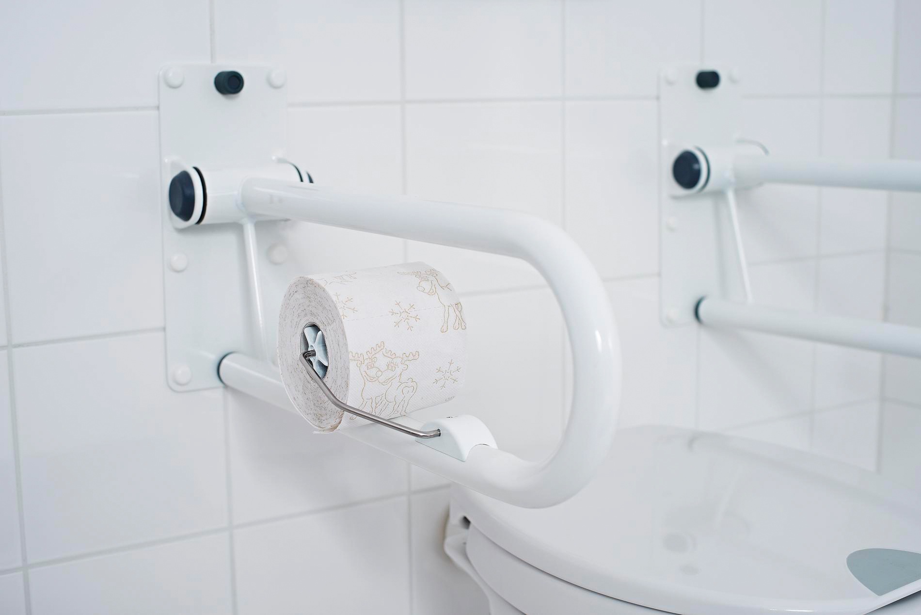 Ridder Toilettenpapierhalter »Tim«, für Haltegriffe, UV-beständig