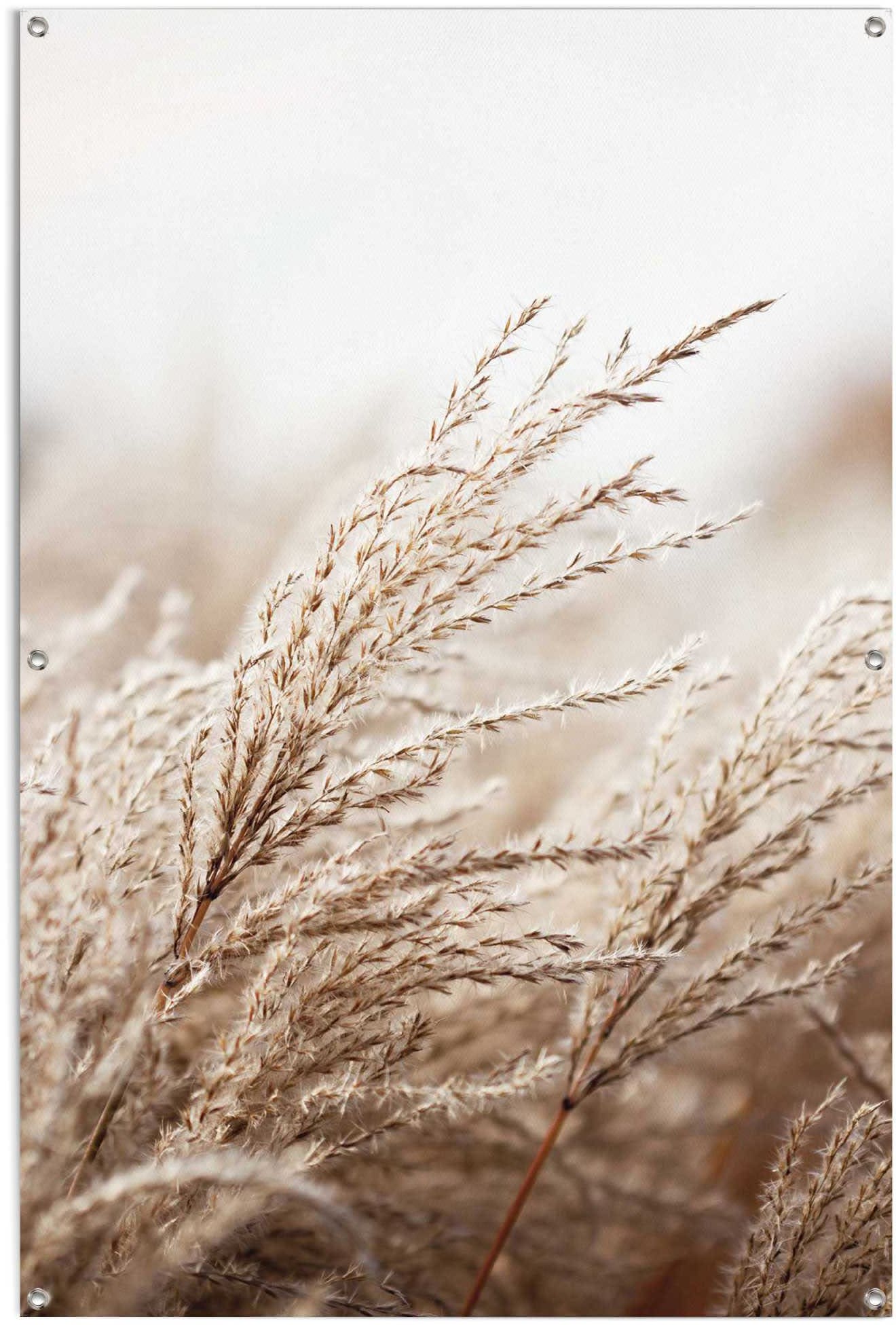 Reinders! Poster »Gras«, leichtes und wasserfestes Gartenposter für den Auß günstig online kaufen