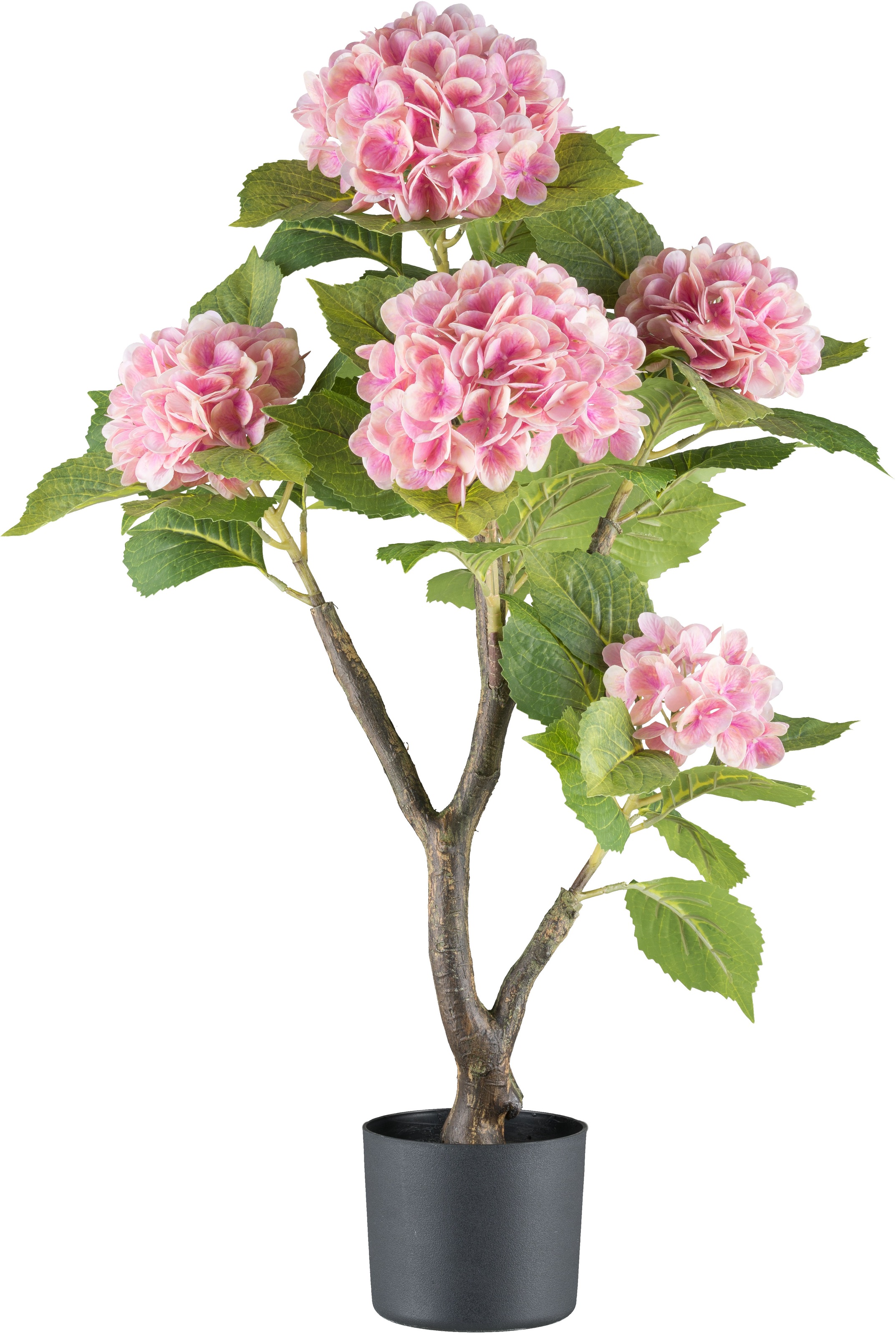Creativ green Kunstblume »Hortensie«, mit real-touch-Blüten günstig online kaufen