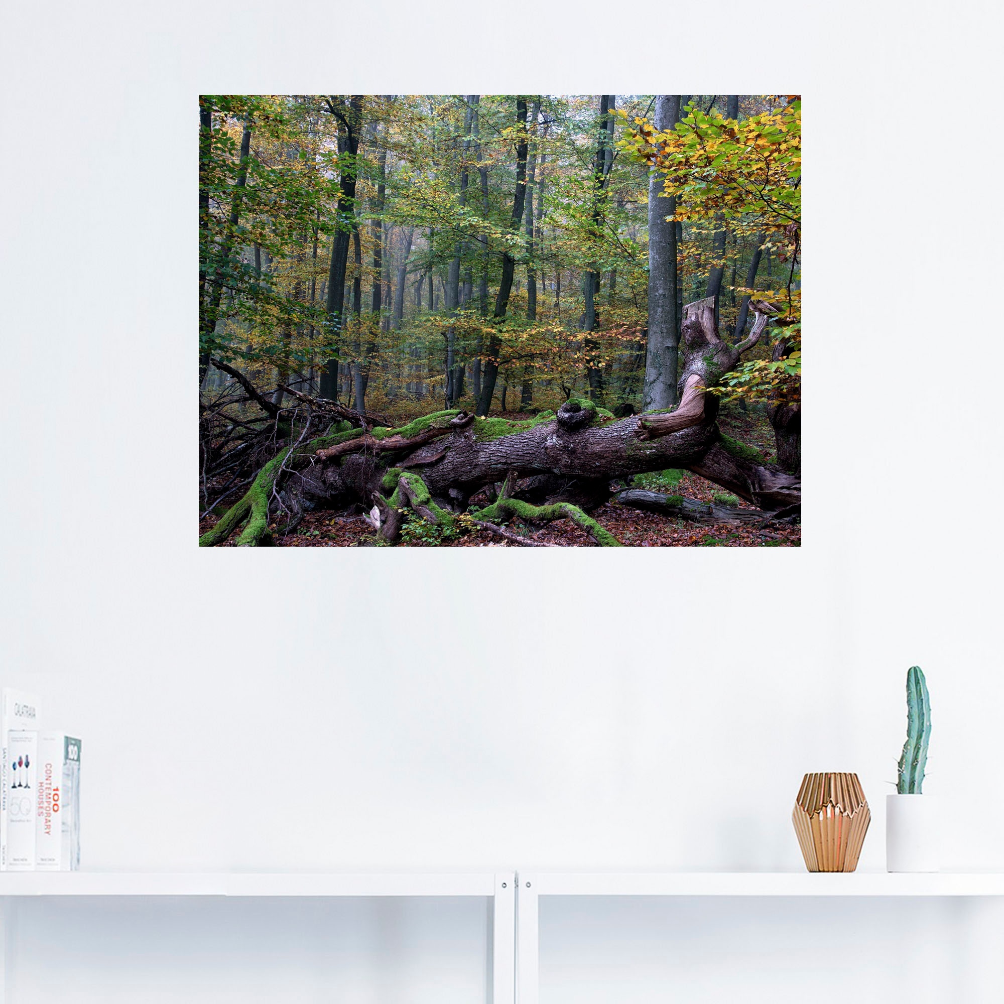 Artland Wandfolie »Ein alter Riese, neuer Lebensraum«, Wald, (1 St.), selbstklebend