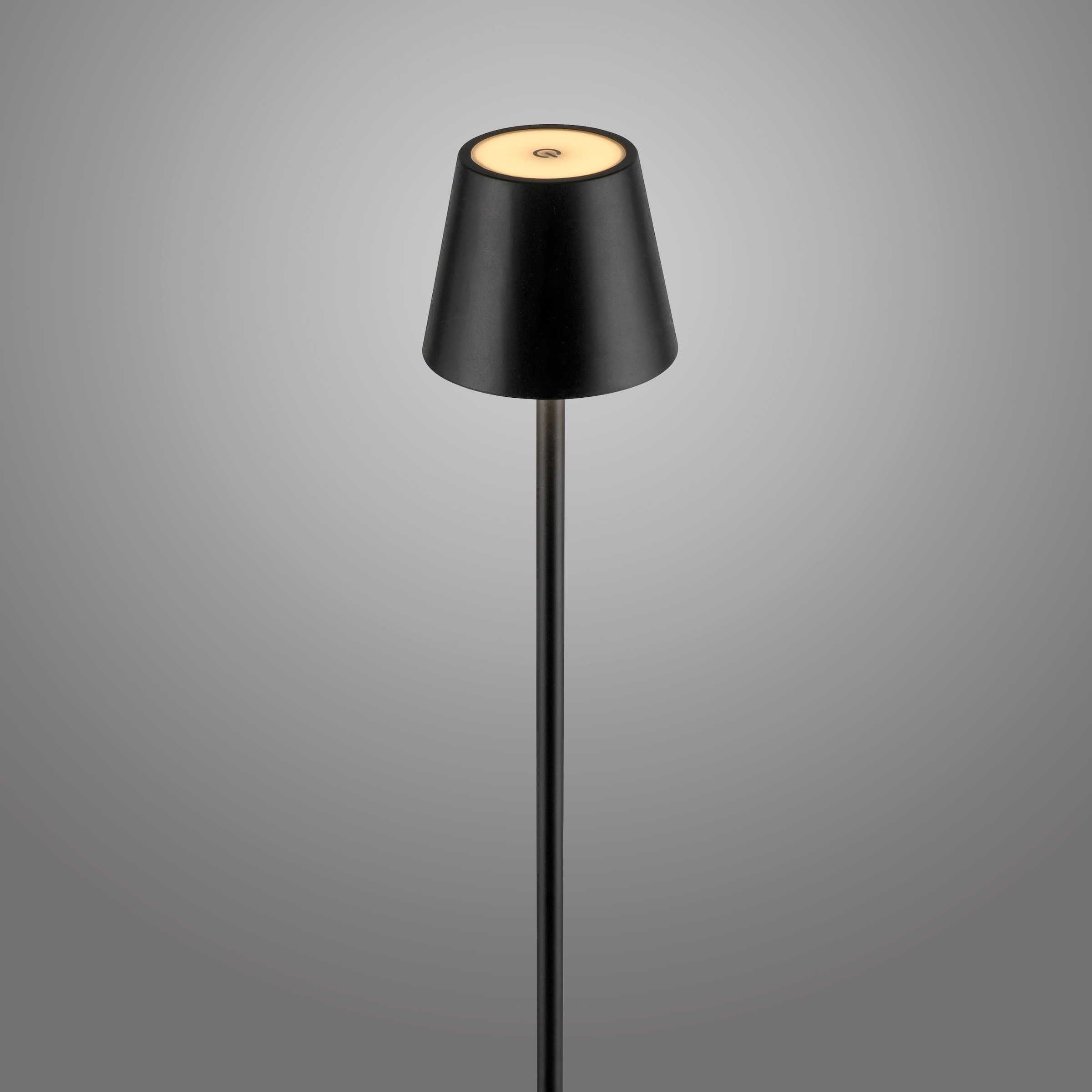 JUST LIGHT Stehlampe »EURIA«, 1 flammig, Leuchtmittel LED-Modul | LED fest integriert, Akkuleuchte