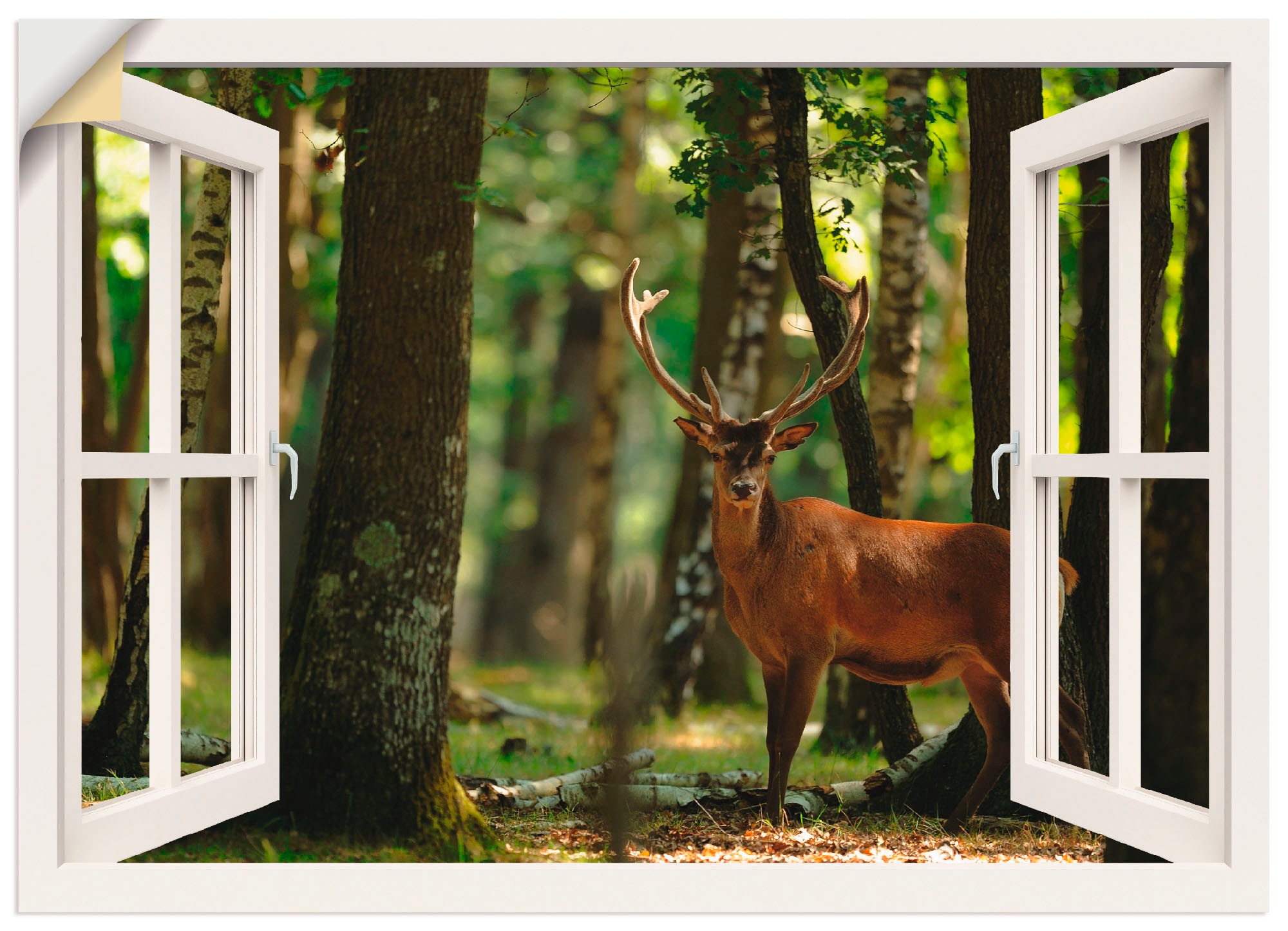 als - Artland bestellen Wandbild oder »Fensterblick - Hirsch Größen Fensterblick, 4 St.), online Wandaufkleber Poster Wald«, versch. in (1 Leinwandbild,