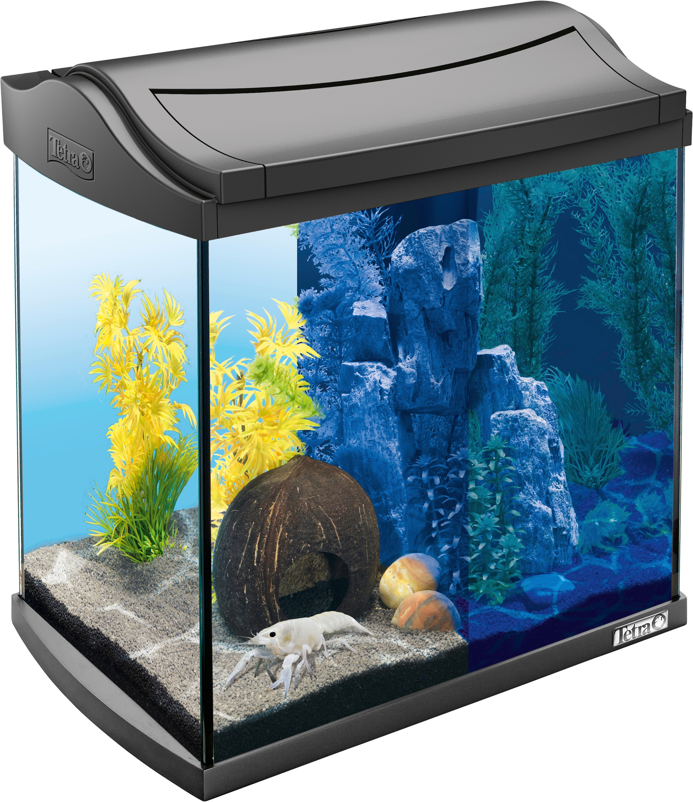 Tetra Aquarium »AquaArt LED Discovery Line«, BxTxH: 39,5x28x43 cm, 30 l