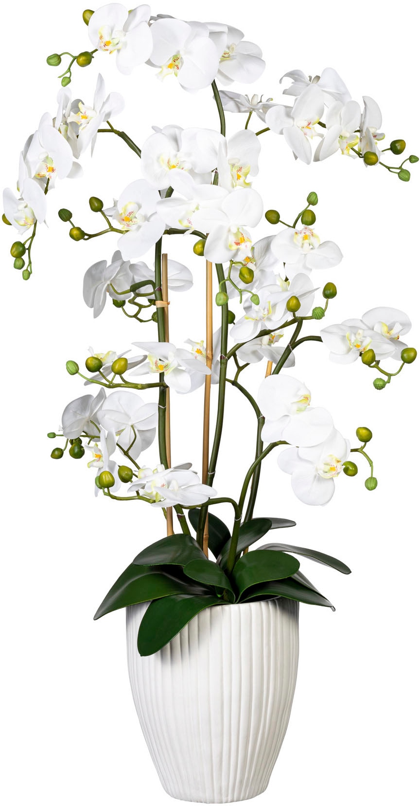 Creativ green Kunstorchidee »Deko-Orchidee Phalaenopsis XL im Keramiktopf« günstig online kaufen