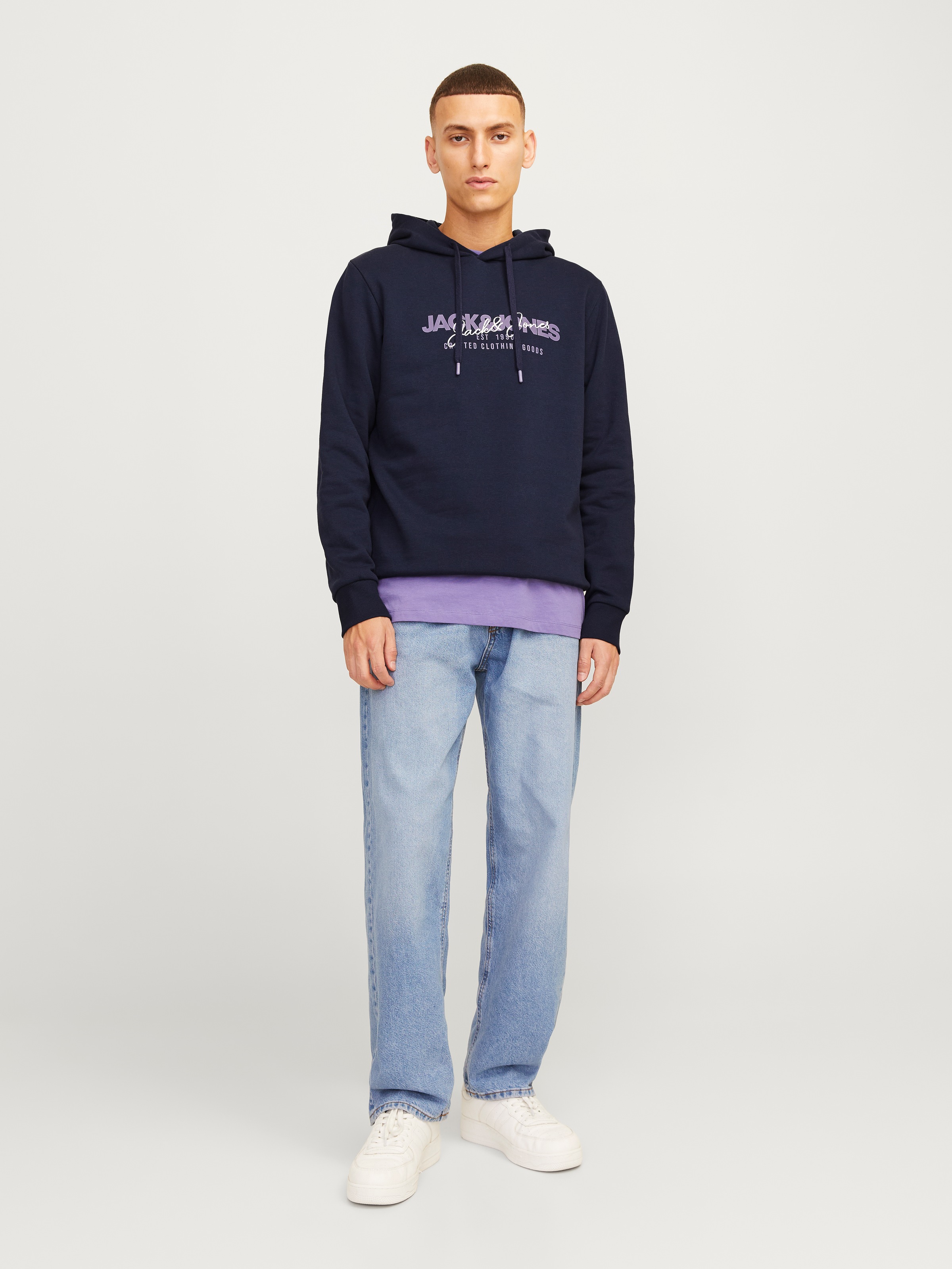 Jack & Jones Kapuzensweatshirt »JJALVIS SWEAT HOOD«