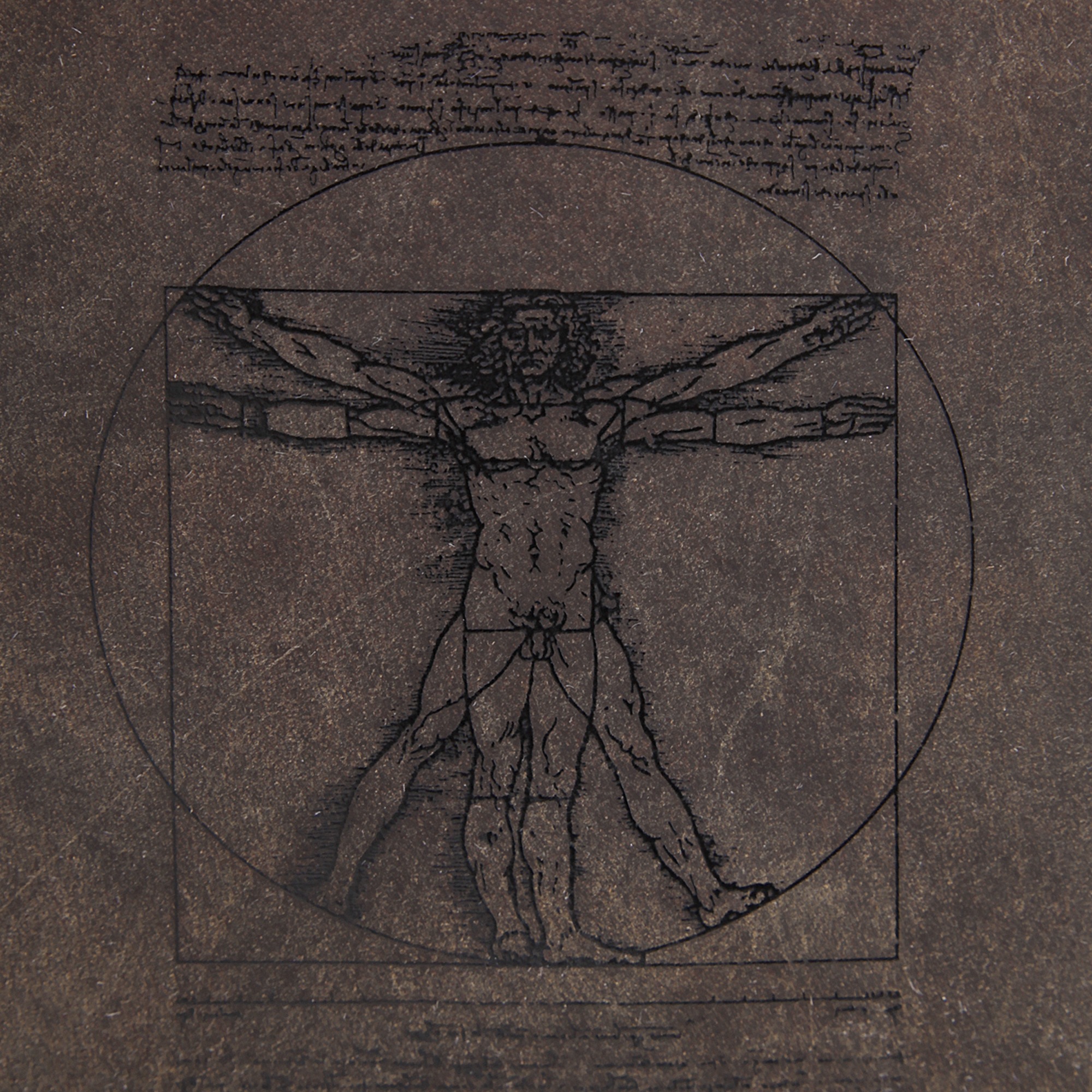 Landleder Geldbörse »ANATOMY«, echt Leder