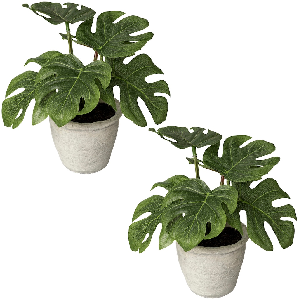 Creativ green Künstliche Zimmerpflanze »Blattpflanze Splitphilodendron«