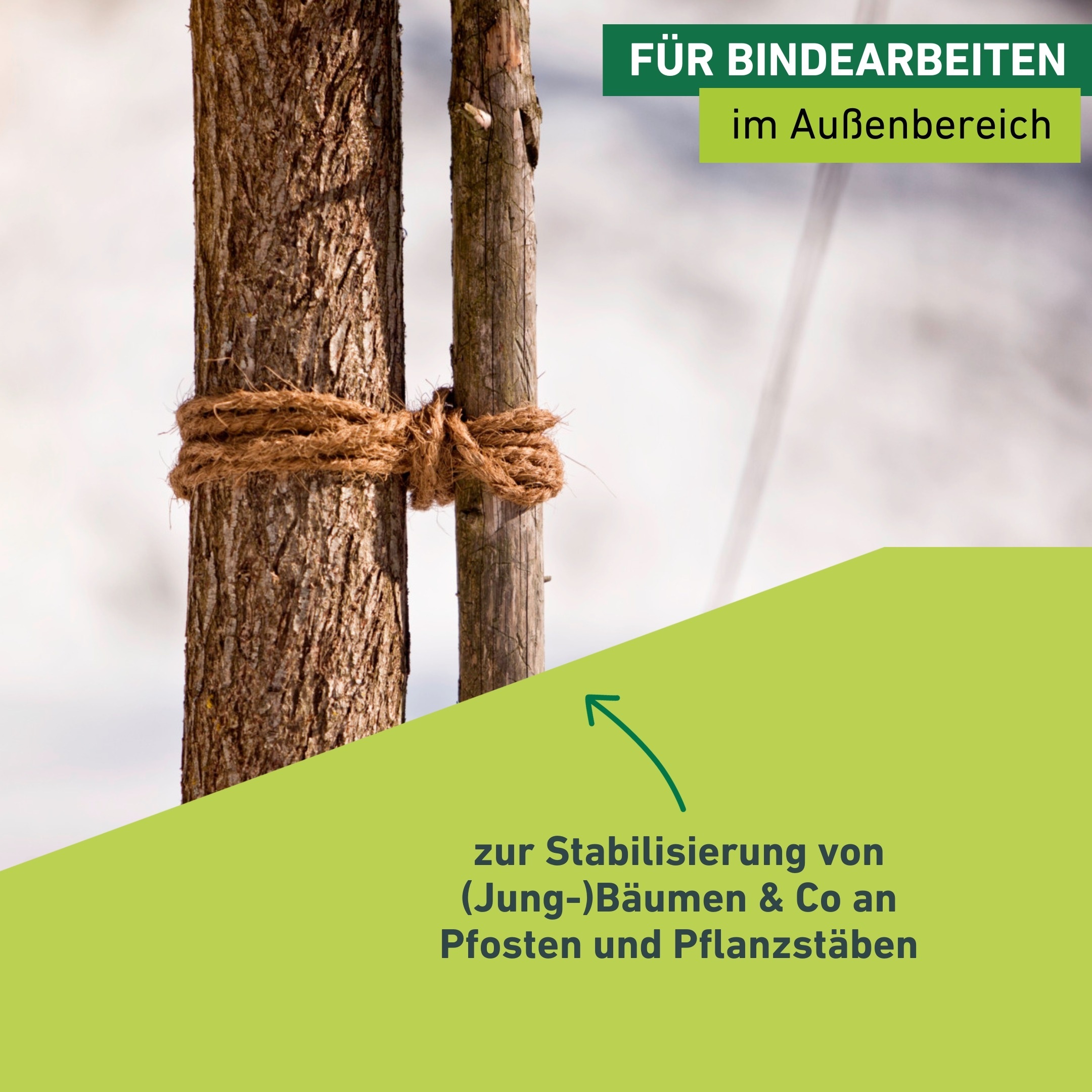 Windhager Pflanzschnur »Kokos-Baumanbinder, Garn aus 100% Kokosfaser« 1 Stk. tlg. Kokoseil zur Stabilisierung von Bäumen und Pflanzen, Baum-Kordel 15 m