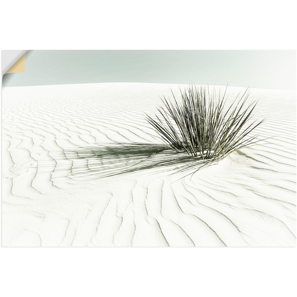 Artland Wandbild »Dünen, weißer Sand Vintage«, Strandbilder, (1 St.)