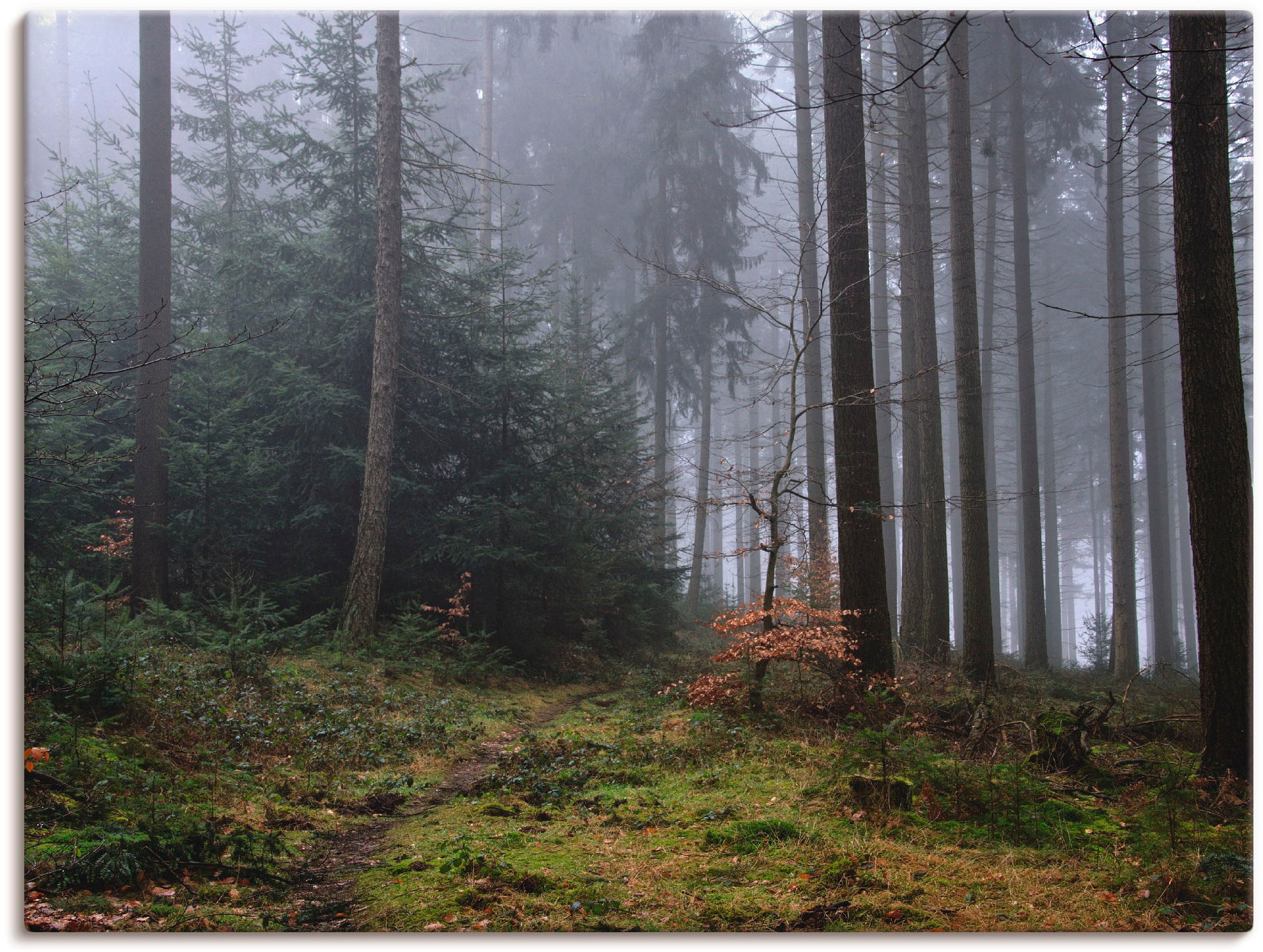 Artland Wandbild »Ein Pfad führt in den nebligen Wald«, Wald, (1 St
