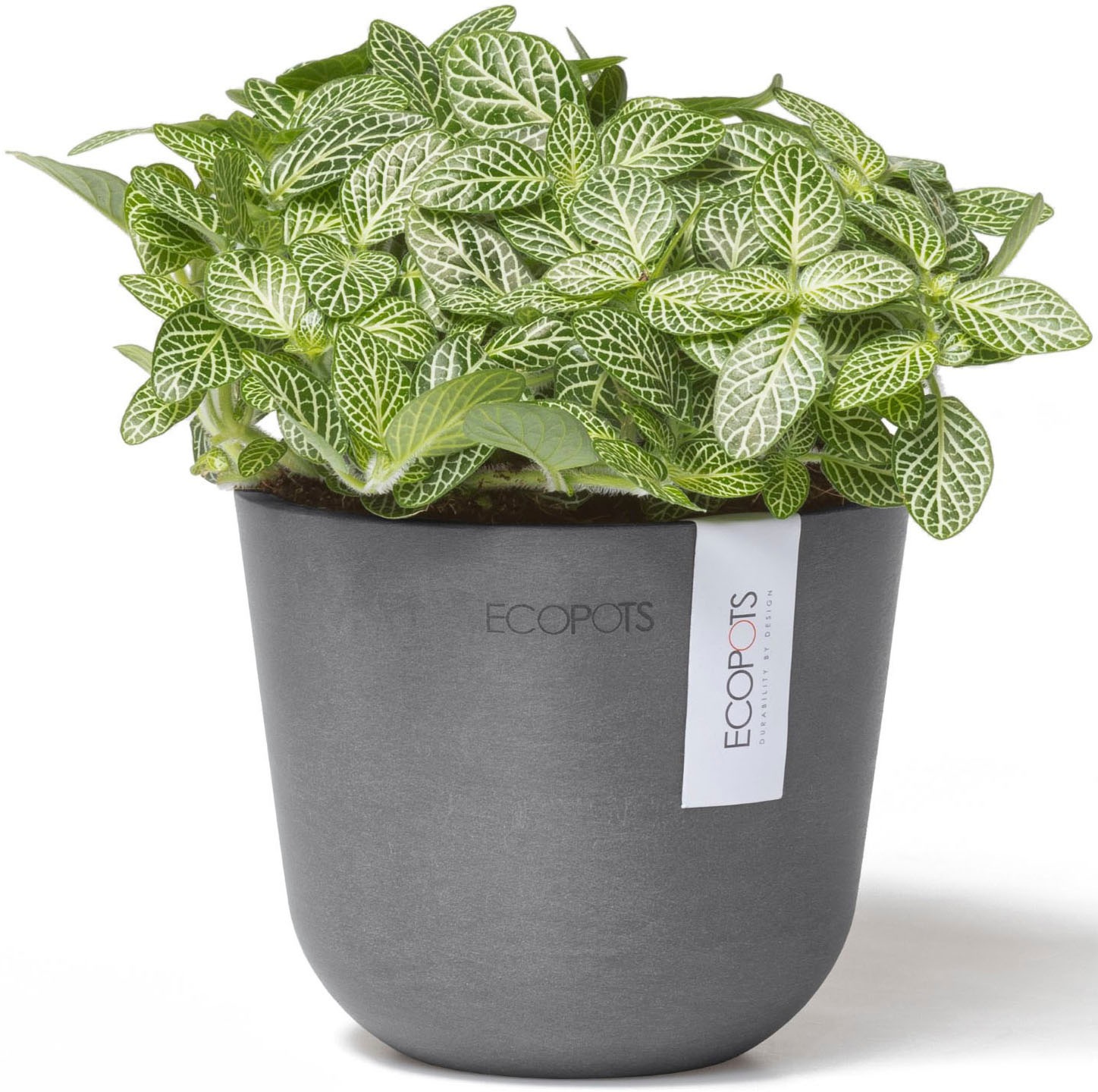ECOPOTS Blumentopf »Oslo Mini 11,5 Grau« für den Innenbereich
