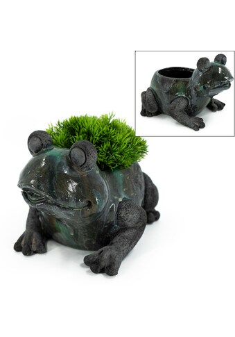 NOOR LIVING Übertopf »Blumentopf Frosch«, (1 St.) kaufen