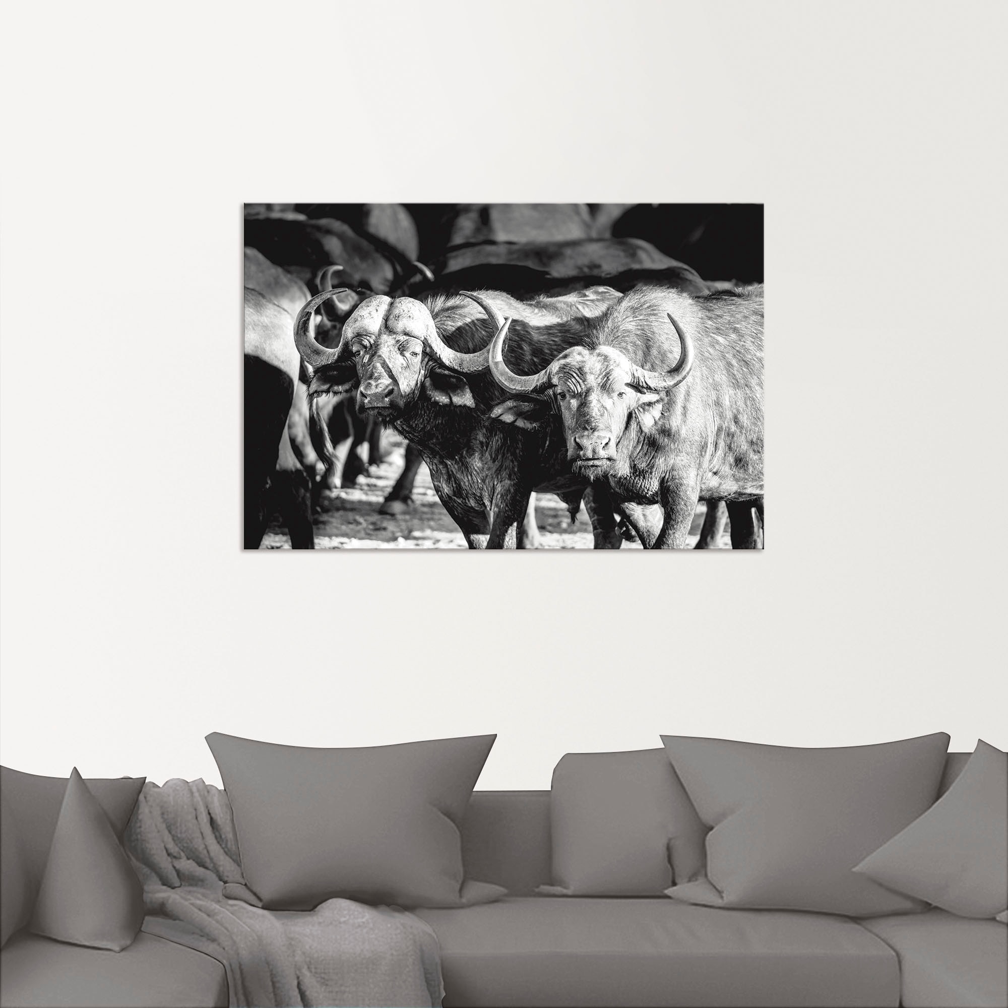 Artland Wandbild »Büffel«, Wildtiere, (1 St.), als Alubild, Leinwandbild, Wandaufkleber oder Poster in versch. Größen