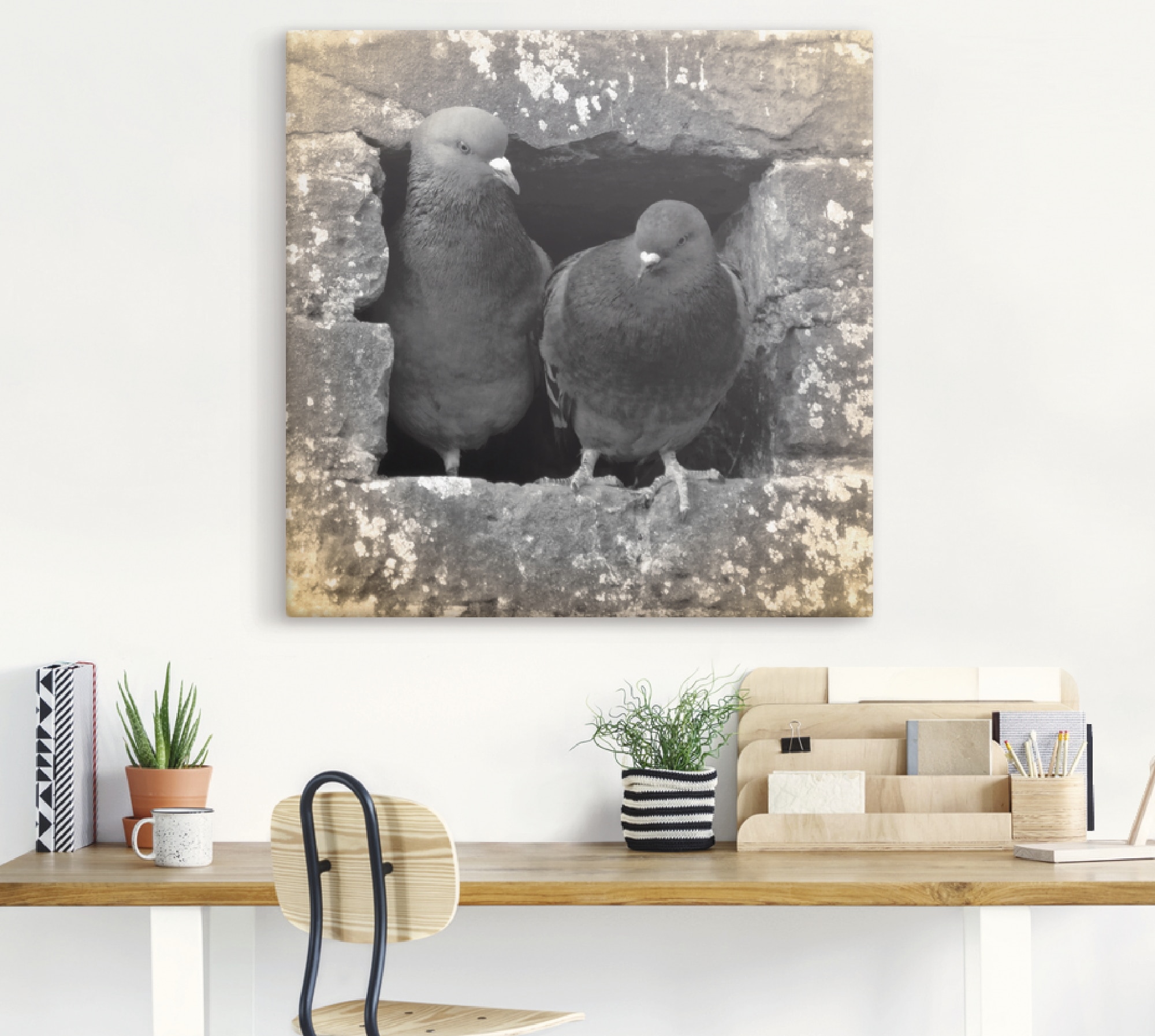 Artland Wandbild »Tauben Liebe«, Vögel, (1 St.), als Alubild, Outdoorbild, Leinwandbild, Poster in verschied. Größen