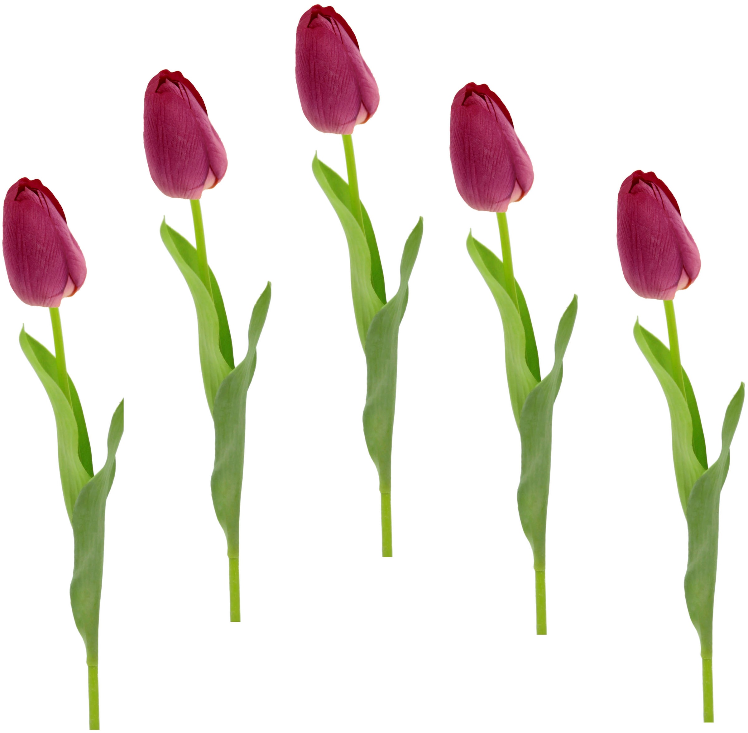 I.GE.A. Kunstblume »Real Touch Tulpen«, auf 5er Stielblume Set Kunstblumen, künstliche Raten kaufen Tulpenknospen