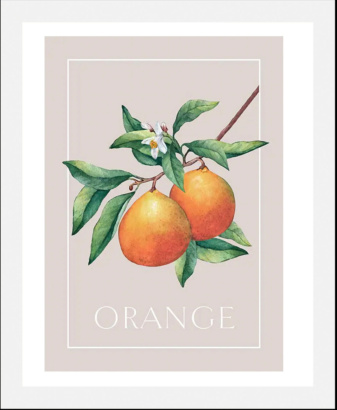queence Bild »Orangenblüte«, Obst-Obst Bilder-Schriftzug-Kunst-Pflanzen-Pfl günstig online kaufen
