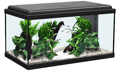 Aquatlantis Aquarium »Advance 60 LED«, BxTxH: 60x30x34 cm, 54 l kaufen