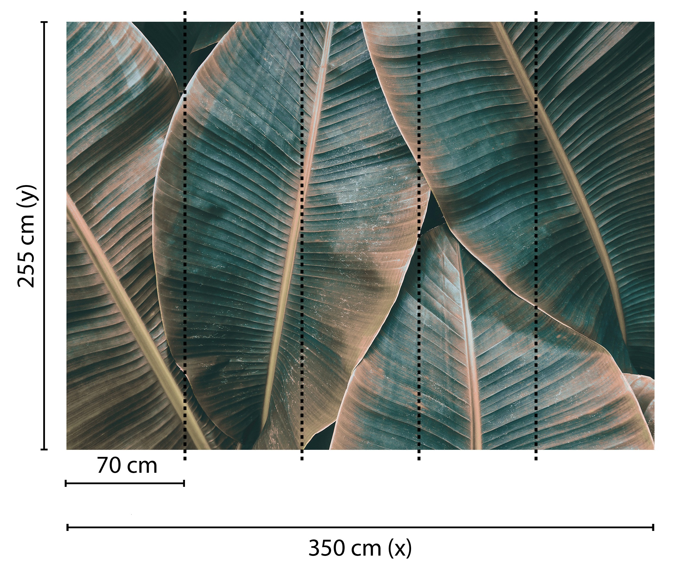 living walls Fototapete »Designwalls Banana Leaves 2«, Vlies, Wand, Schräge, Decke