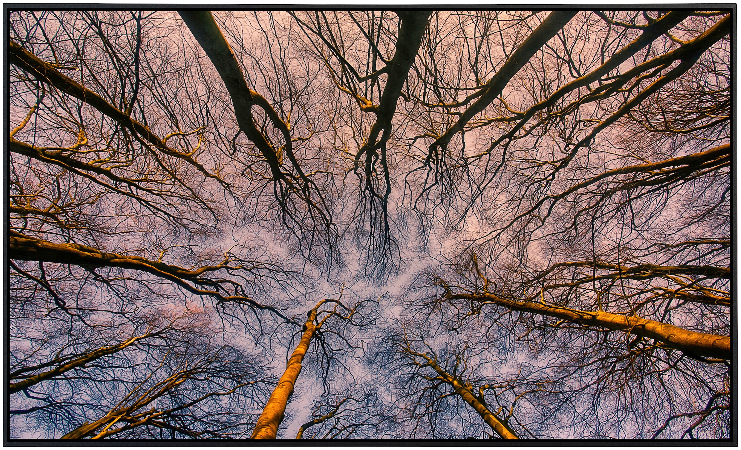 Papermoon Infrarotheizung »Sonnenaufgang durch den Wald.«, sehr angenehme Strahlungswärme