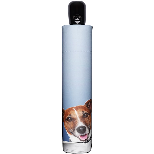 doppler® Taschenregenschirm »Modern Art Magic Mini, Daily Dog« bequem  kaufen