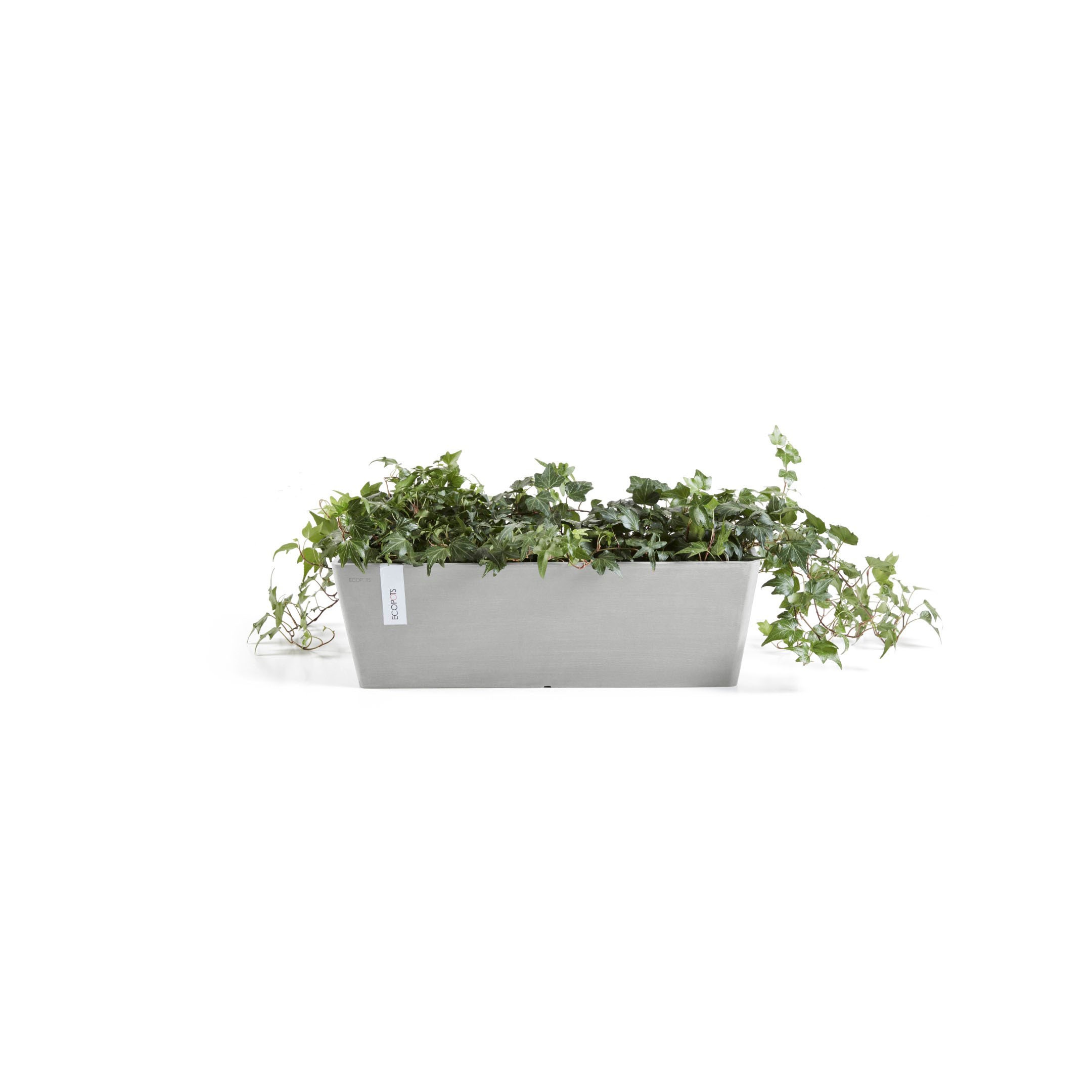 ECOPOTS Blumentopf »Bruges«, mit online BxTxH: bestellen 17x45x17 Wasserbehälter, cm