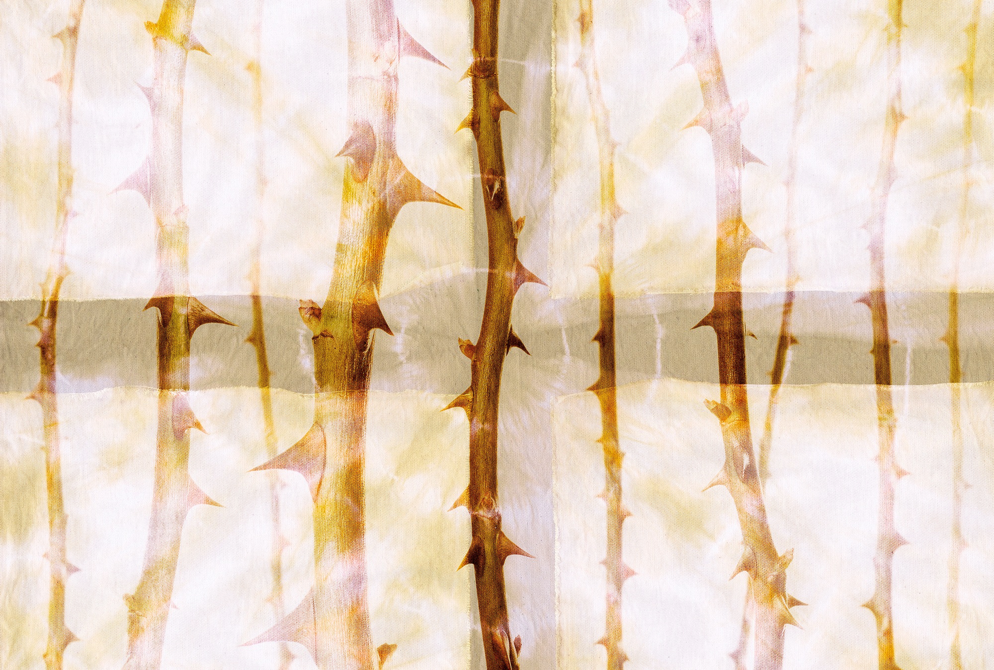Architects Paper Fototapete »Atelier 47 Thorn Art 2« floral glatt Vlies, Wa günstig online kaufen