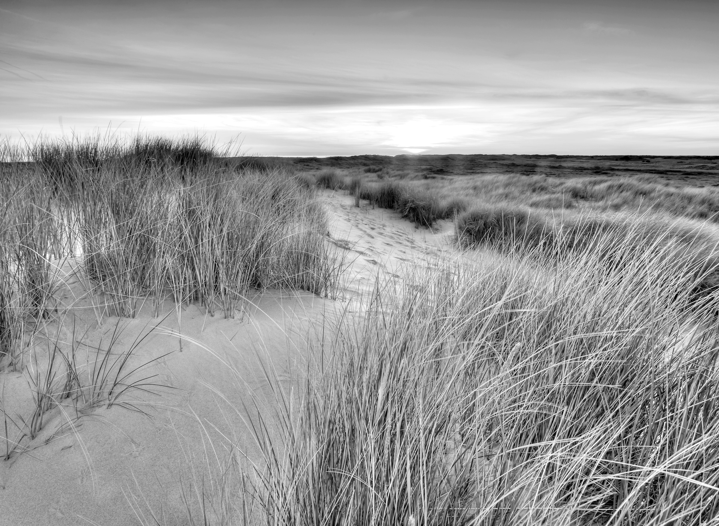 Papermoon Fototapete »Landschaft schwarz & weiß« günstig online kaufen