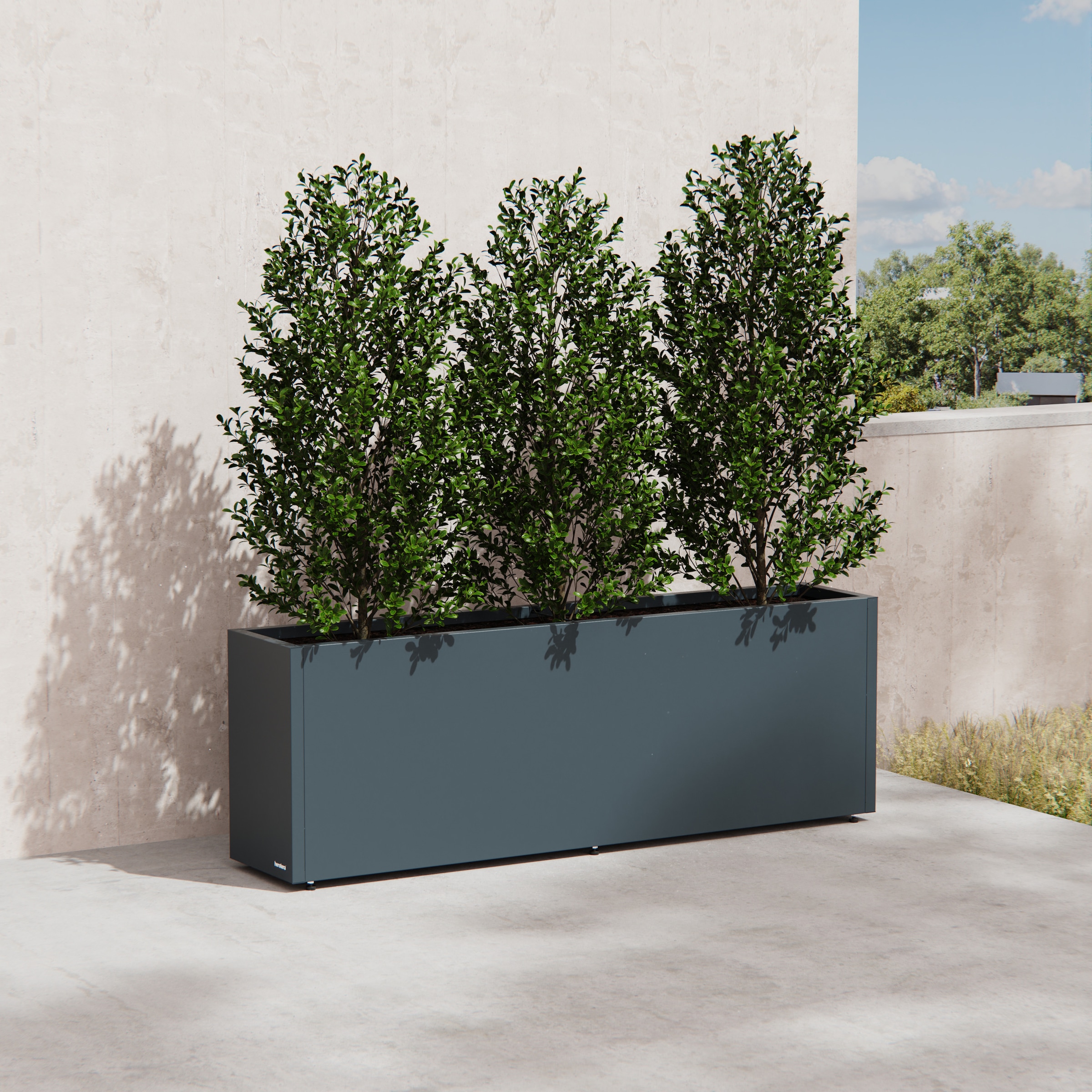 Herstera Garden Pflanzkübel »Cube« BxTxH: 150x30x50 cm