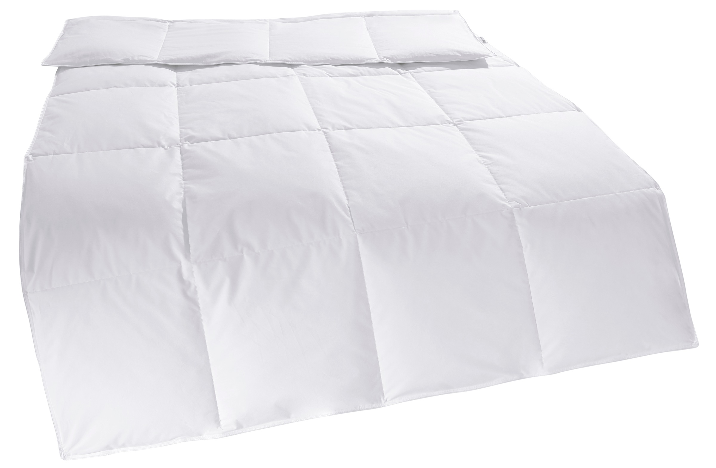 my home Daunenbettdecke »Cyra, Bettdecke 135x200 cm, 155x220 cm«, leicht, F günstig online kaufen