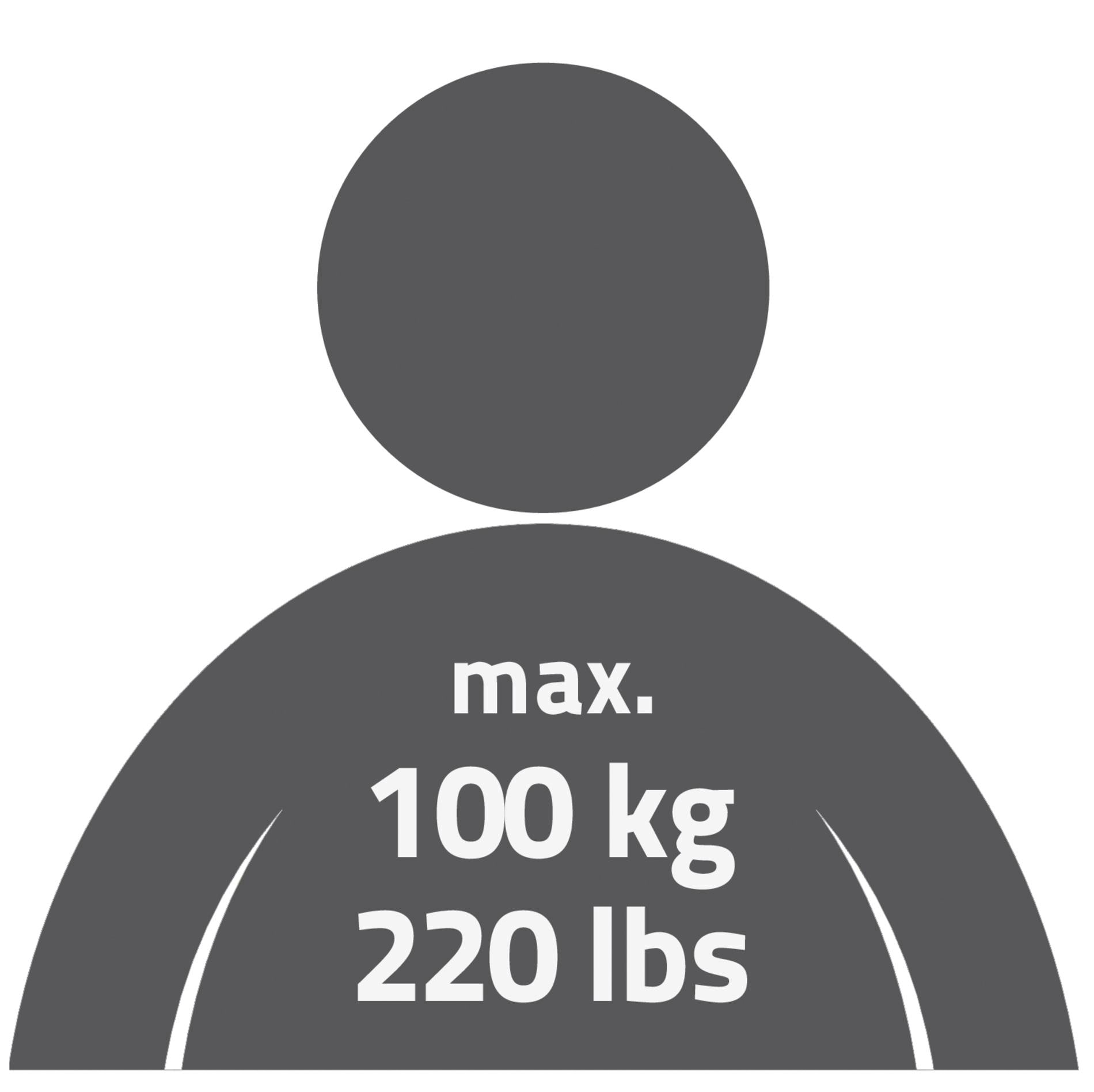 Ridder Haltegriff »Jim«, belastbar bis 100 kg, mit Saugnäpfen
