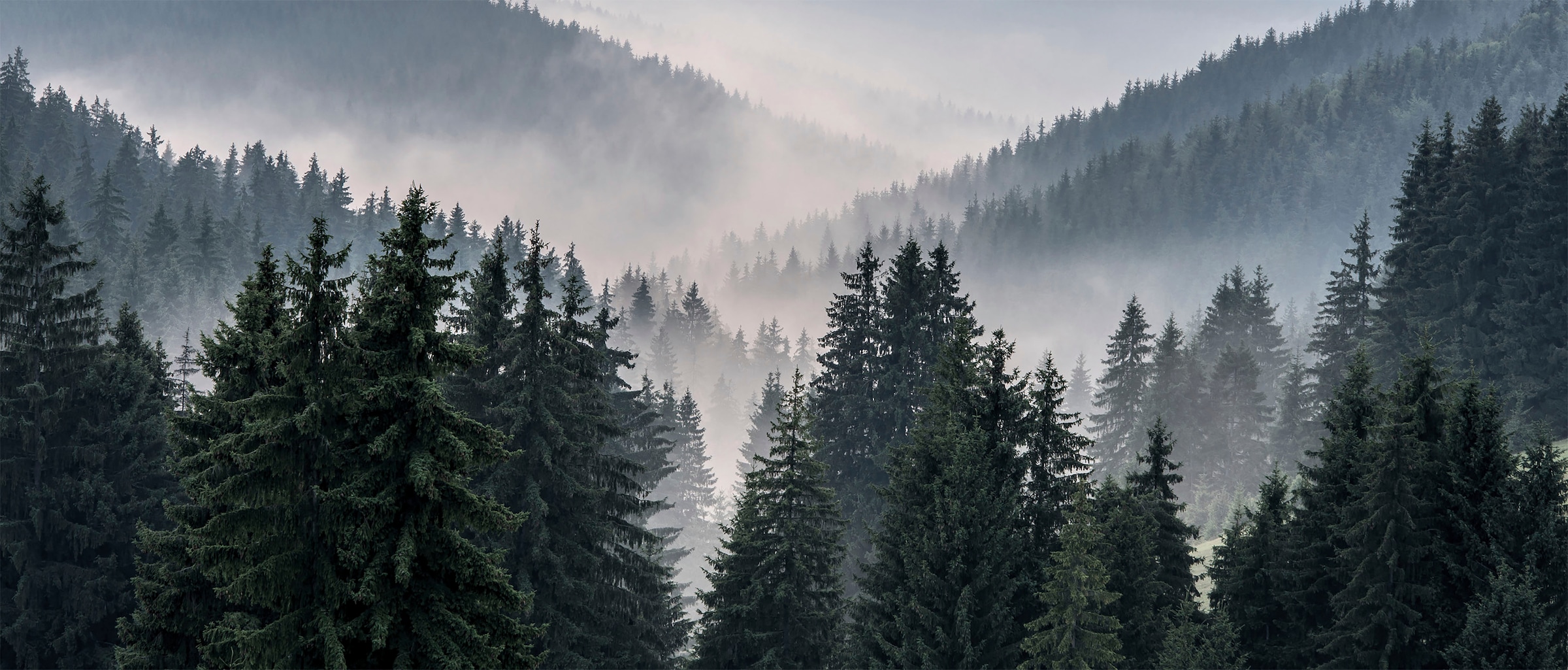 Bönninghoff Leinwandbild »Berglandschaft«, (1 St.) günstig online kaufen