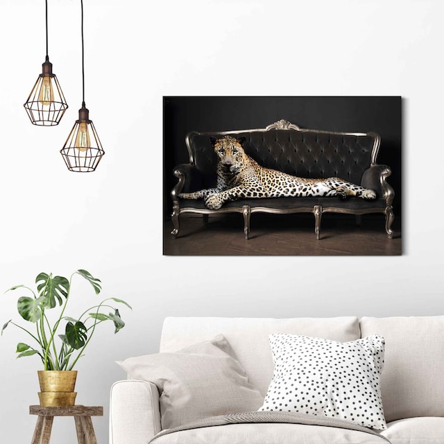 Reinders! Wandbild »Wandbild Leopard Chic Panther - Liegend - Luxus -  Relax«, Leopard, (1 St.) auf Rechnung bestellen