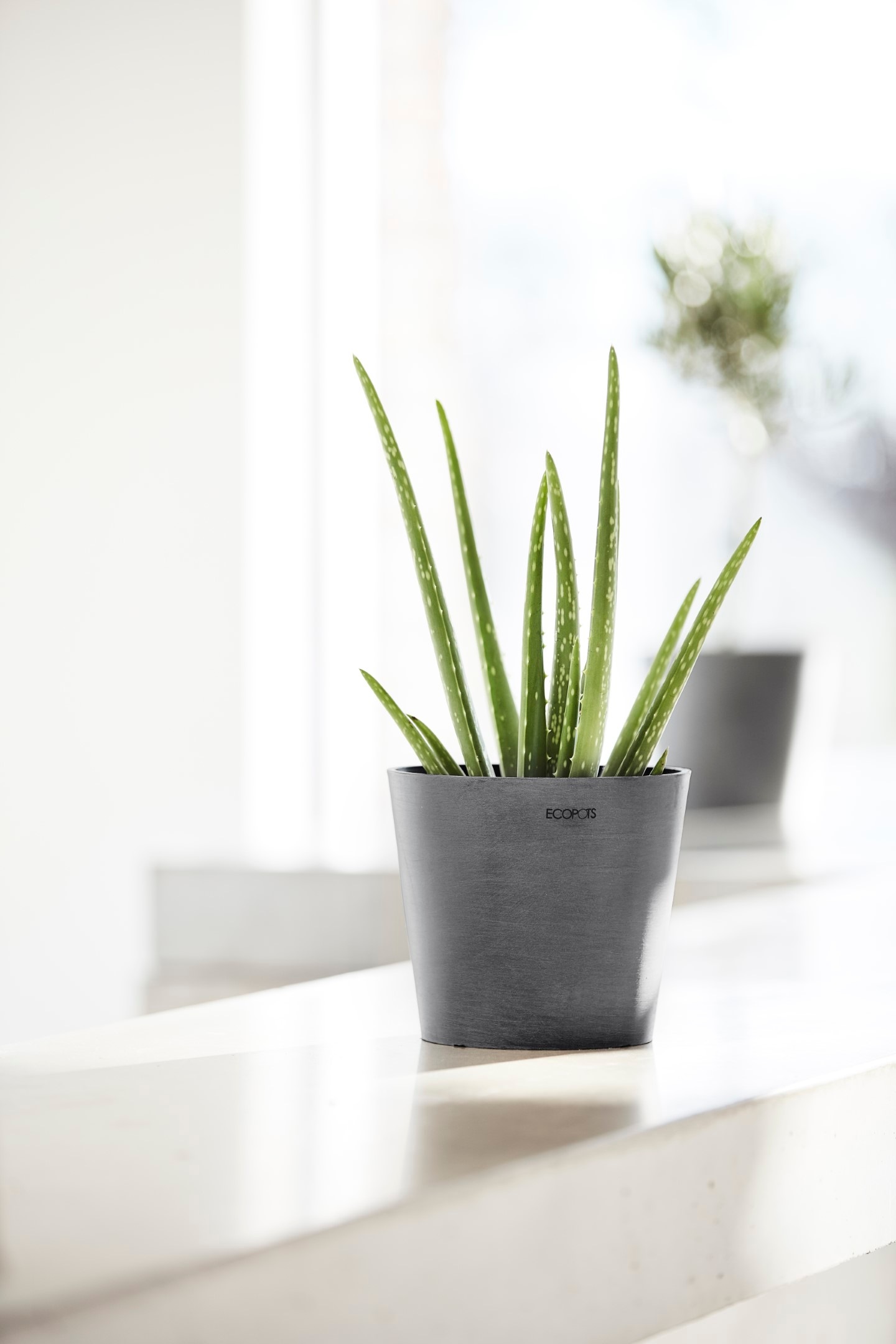 ECOPOTS Blumentopf »AMSTERDAM Mini Grey« BxTxH: 17x17x14,9 cm