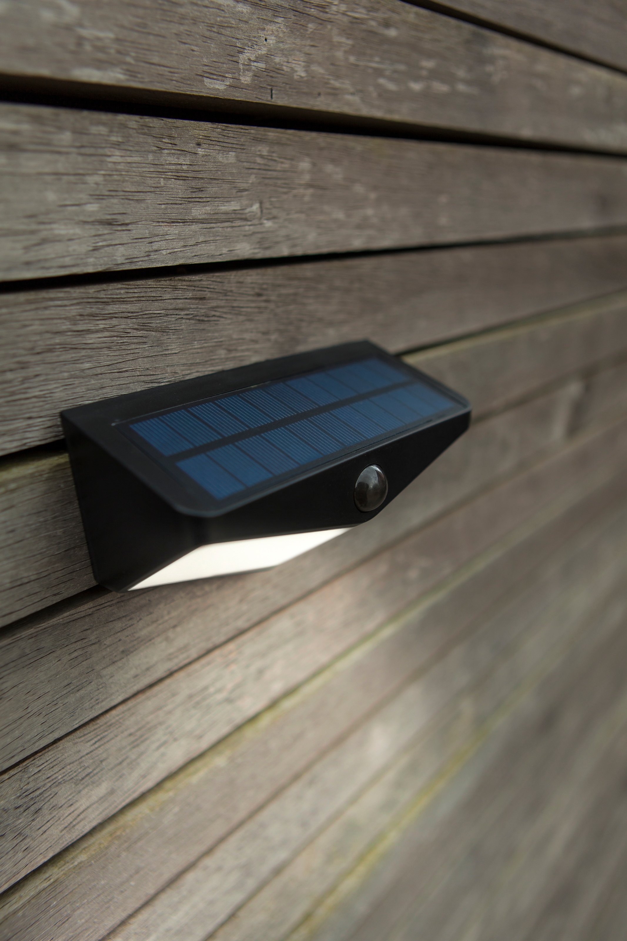 LUTEC LED Solarleuchte »LED-Solar-Aussenwandl. m. BWM WINGS«, 1 flammig, Leuchtmittel LED-Board | LED fest integriert, Bewegungsmelder