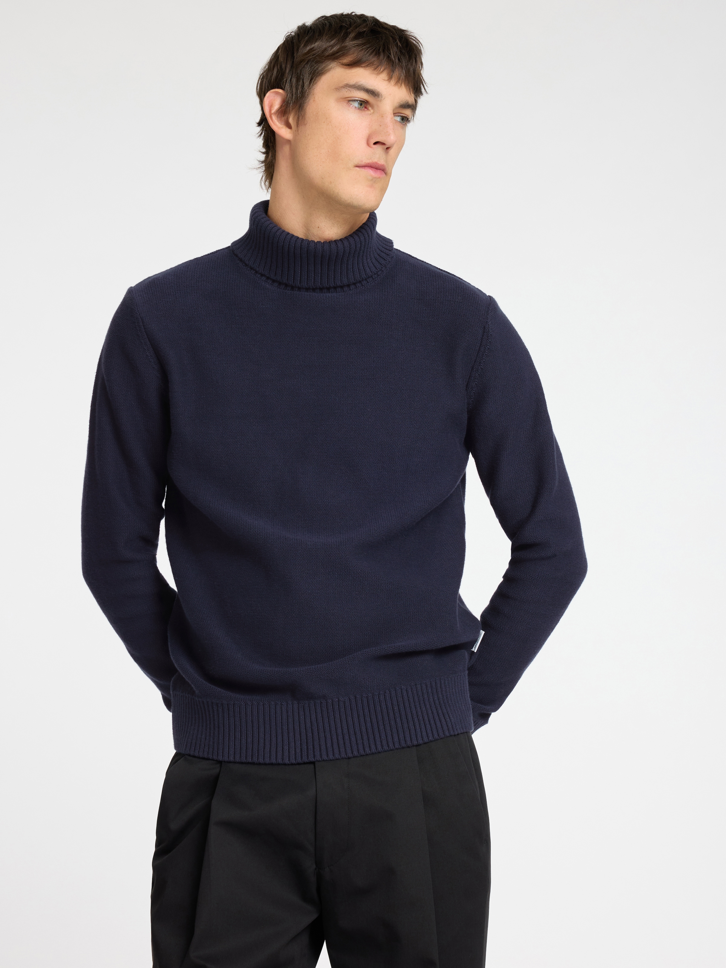 SELECTED HOMME Rollkragenpullover »SLHAXEL LS KNIT ROLL NECK NOOS«