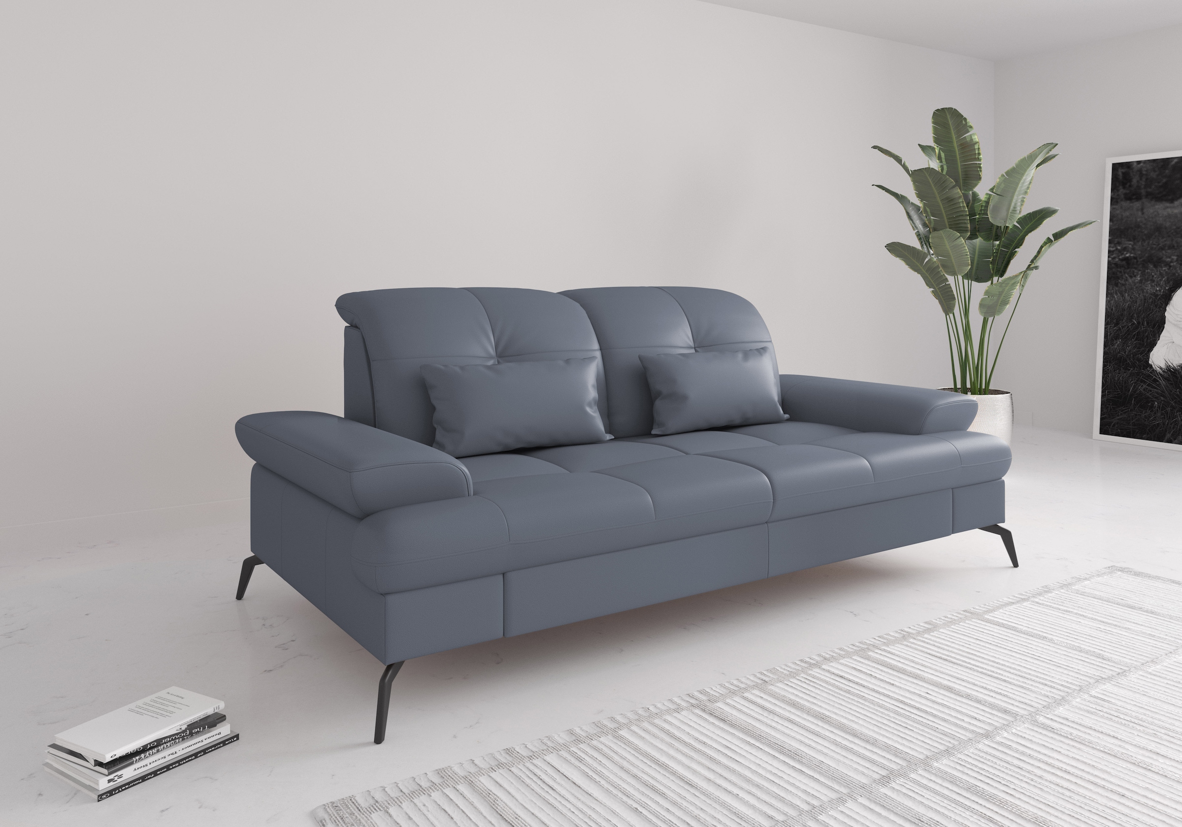 sit&more 2,5-Sitzer »Amica«, inkl Sitztiefenverstellung und Armteilverstell günstig online kaufen