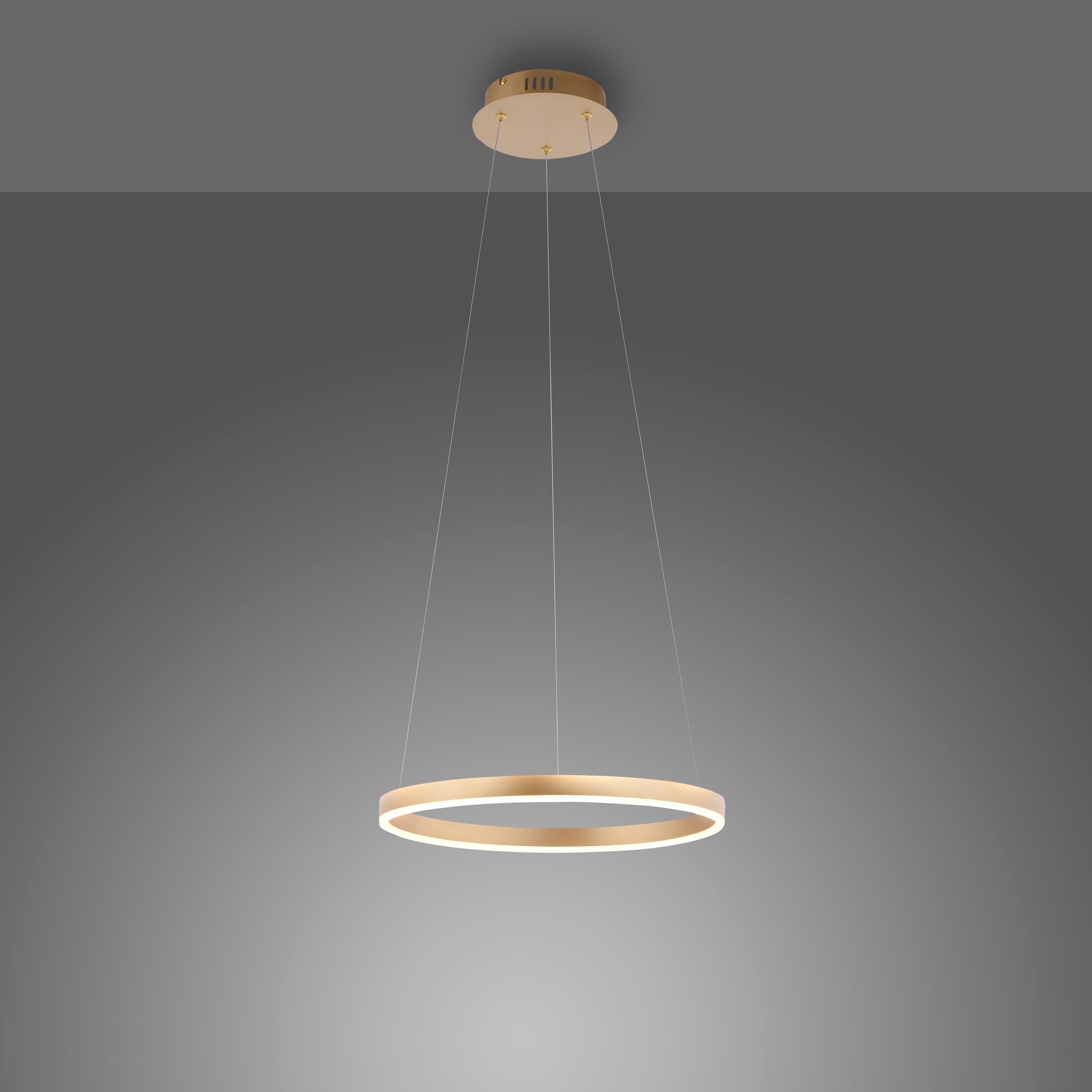 Leuchten Direkt Pendelleuchte »RITUS«, 1 flammig, Leuchtmittel LED-Board | LED fest integriert