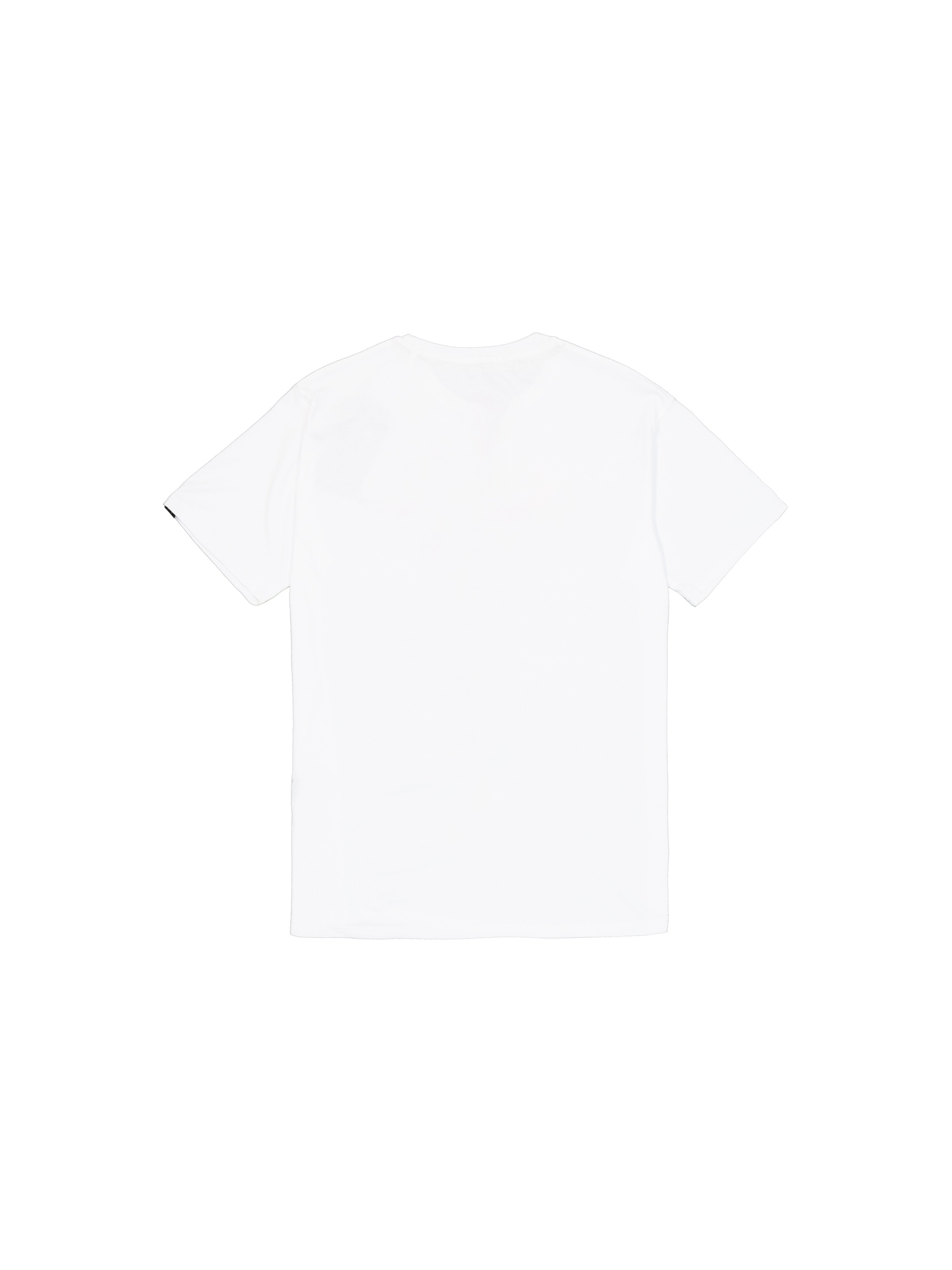 Alpha Industries T-Shirt »Alpha Industries Men - T-Shirts Basic T-Shirt SL TPU«