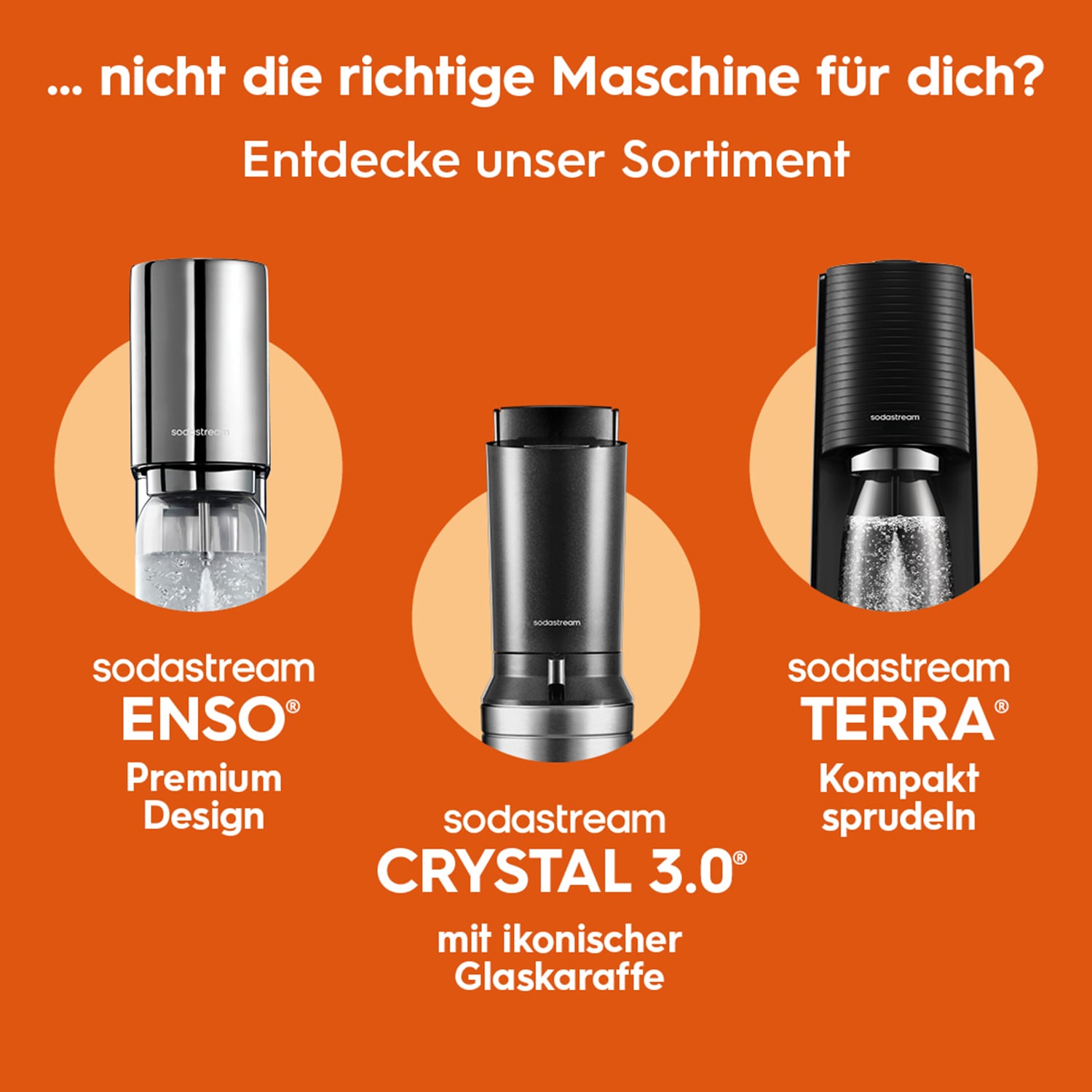 SodaStream Wassersprudler »SodaStream DUO, titan, mit 3 Flaschen, 1 CO2-Zylinder und 2 Sirups« 1x Glasfl. 1L, 1x Kunststofffl. 1L, 1x Fizz&go COOL storm 0,9L