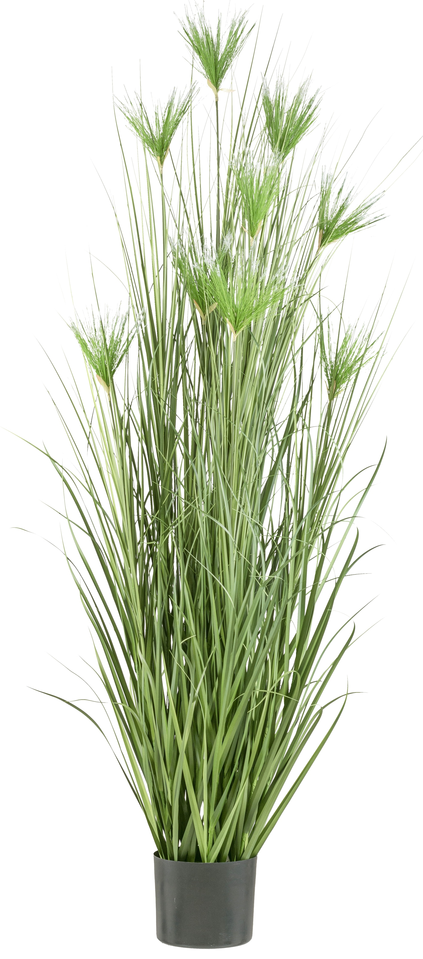Creativ green Kunstgras »Zyperngras«, mit sieben Zyperngrasblüten günstig online kaufen