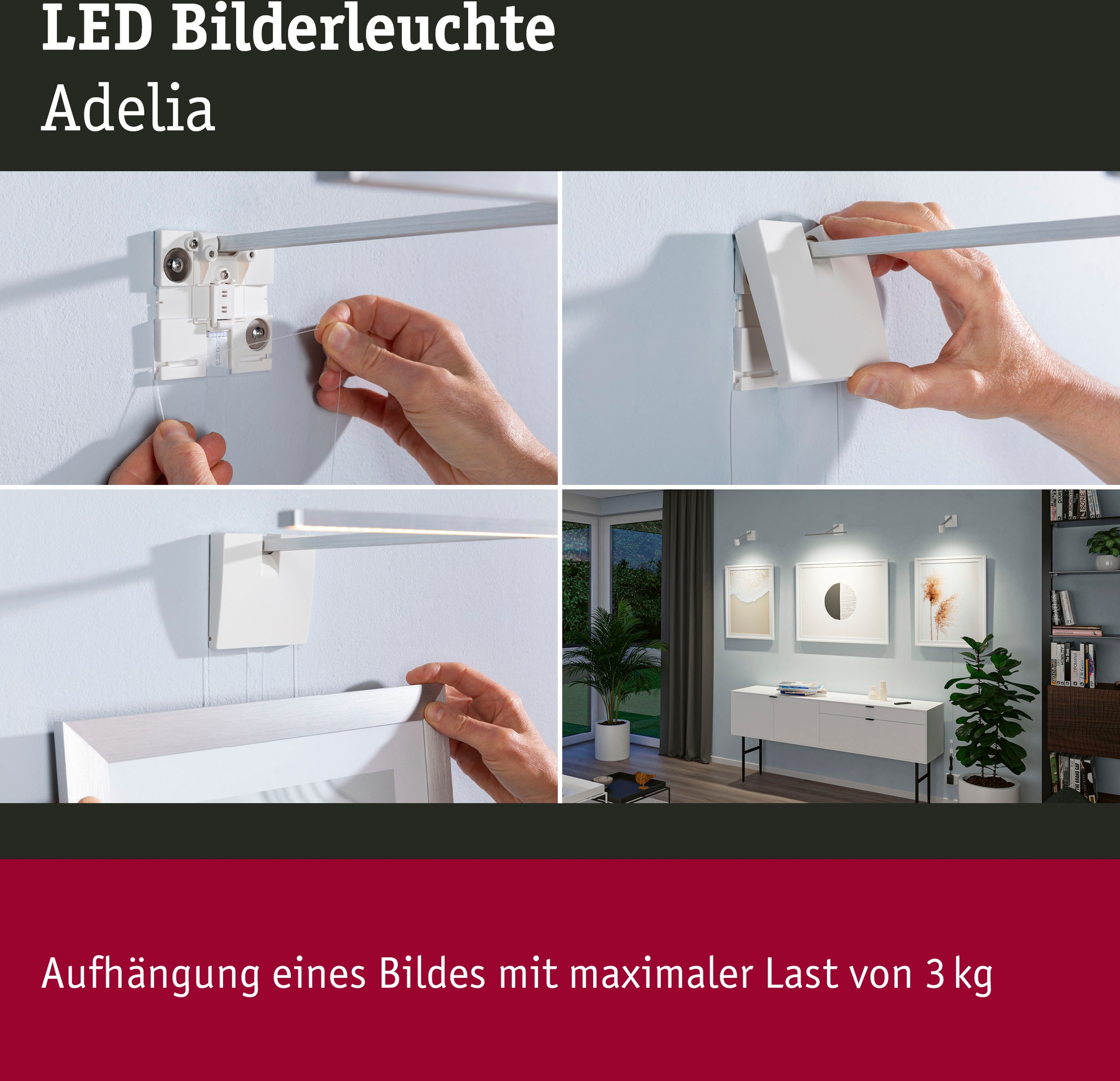 dimmbar 1 kaufen online LED Paulmann Bilderleuchte flammig-flammig, »Adelia«,