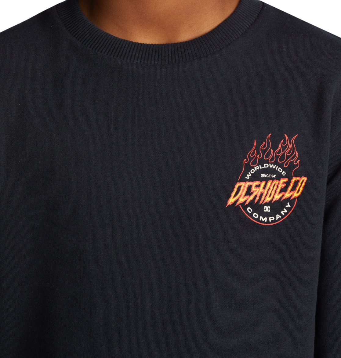 DC Shoes Sweatshirt »Fiery«