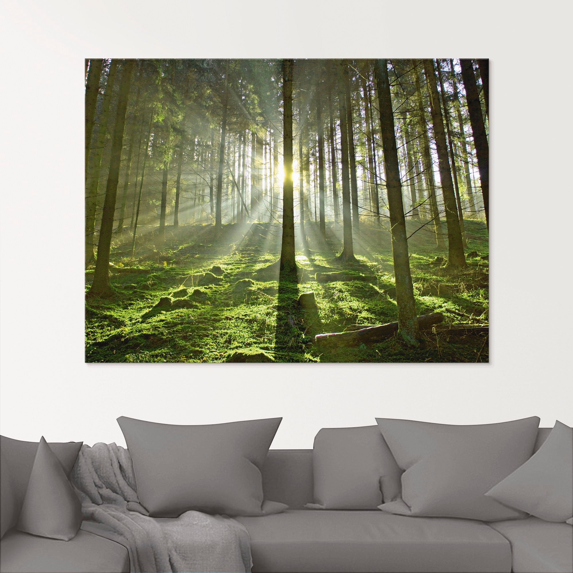 Artland Glasbild "Wald im Gegenlicht", Wald, (1 St.), in verschiedenen Größ günstig online kaufen