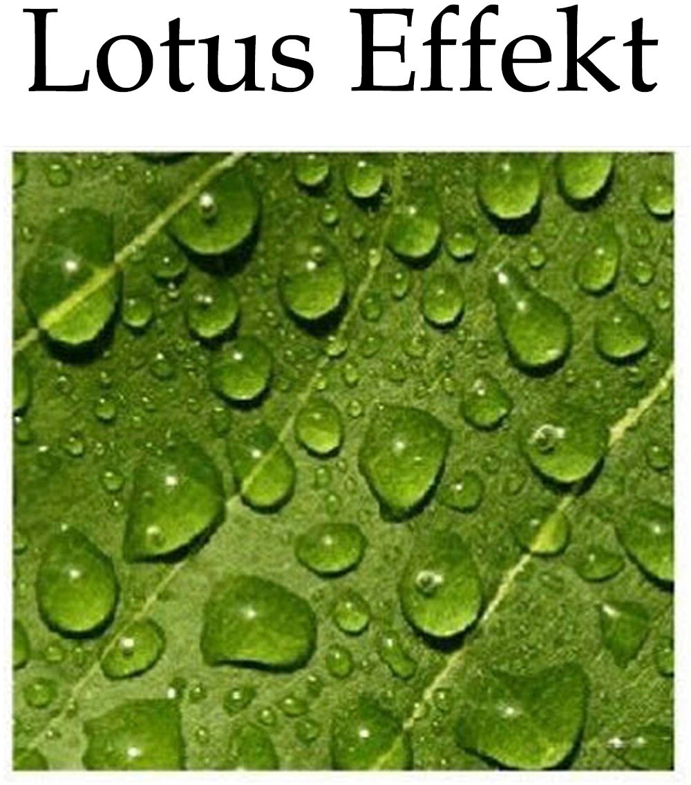 Weckbrodt Kissenhülle »Aquarell« Lotus-Effekt, Garten, Blumen, Kissen, ohne Füllung