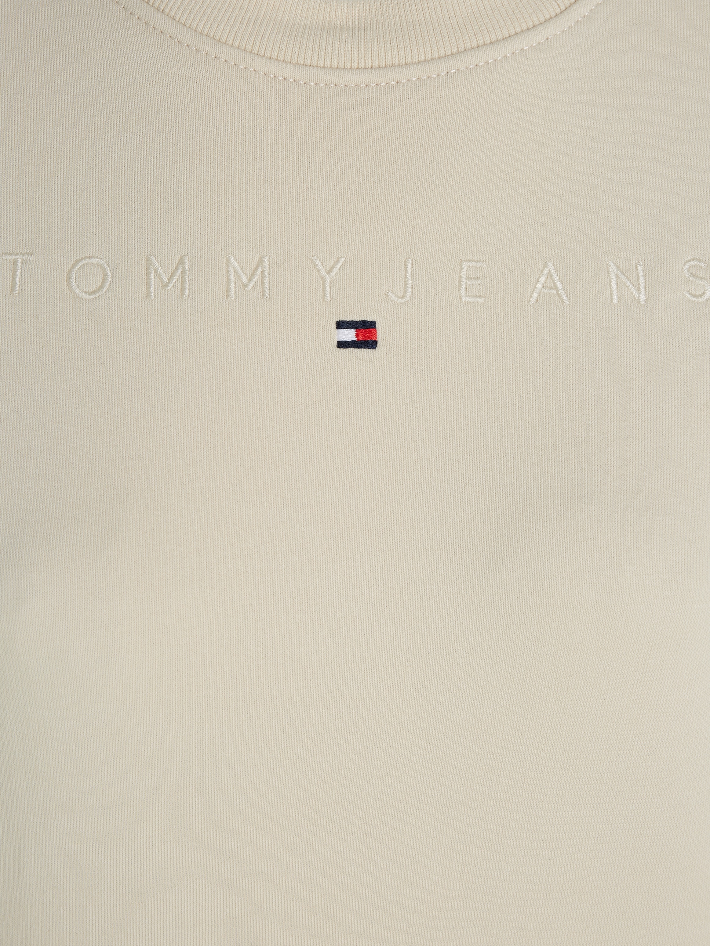 Tommy Jeans Curve Sweatshirt »TJW REG LINEAR CREW EXT«, in Großen Größen mit Logoschriftzug