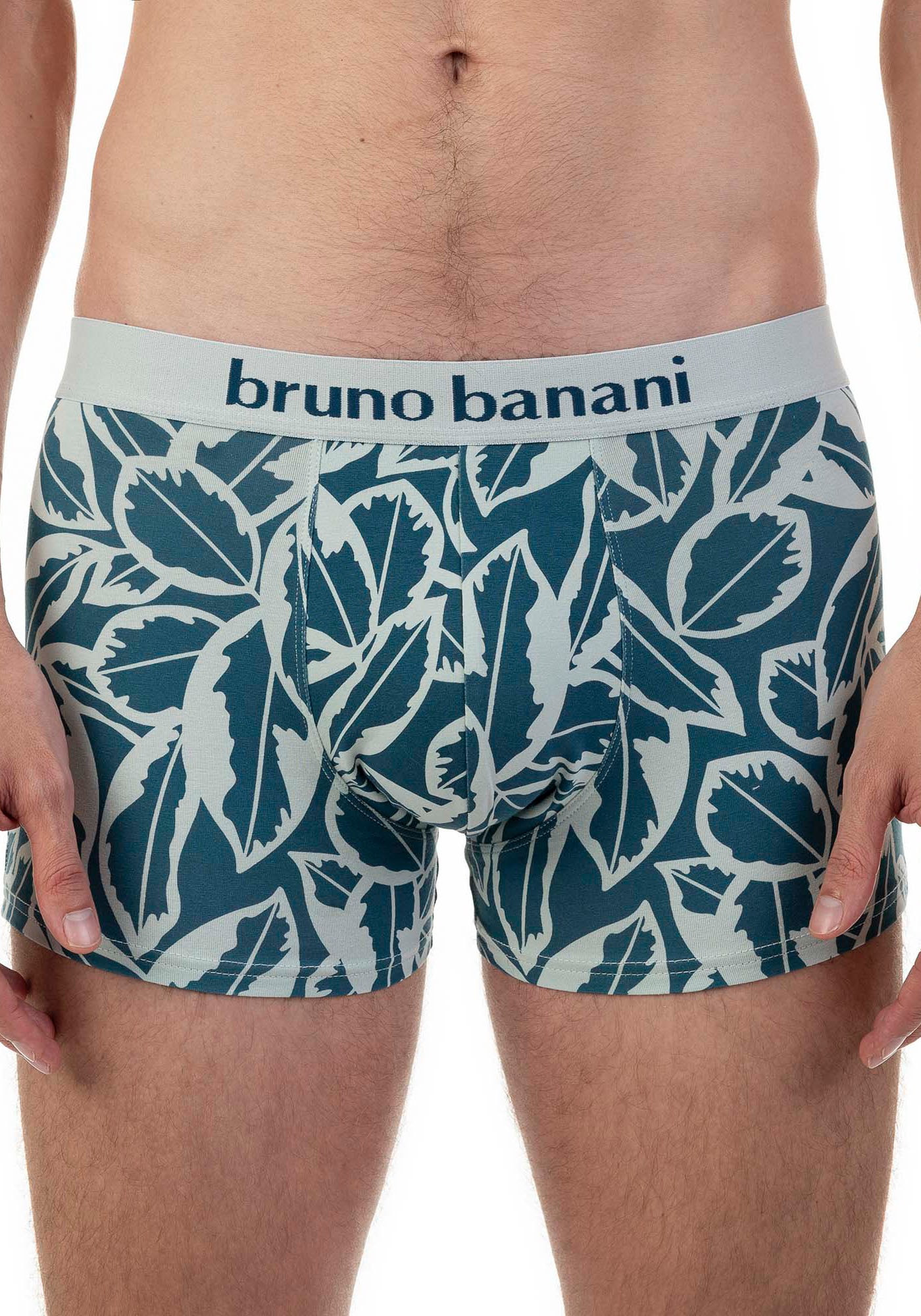 Bruno Banani Retro Pants »Calathea«, (2er Pack), mit Logobund