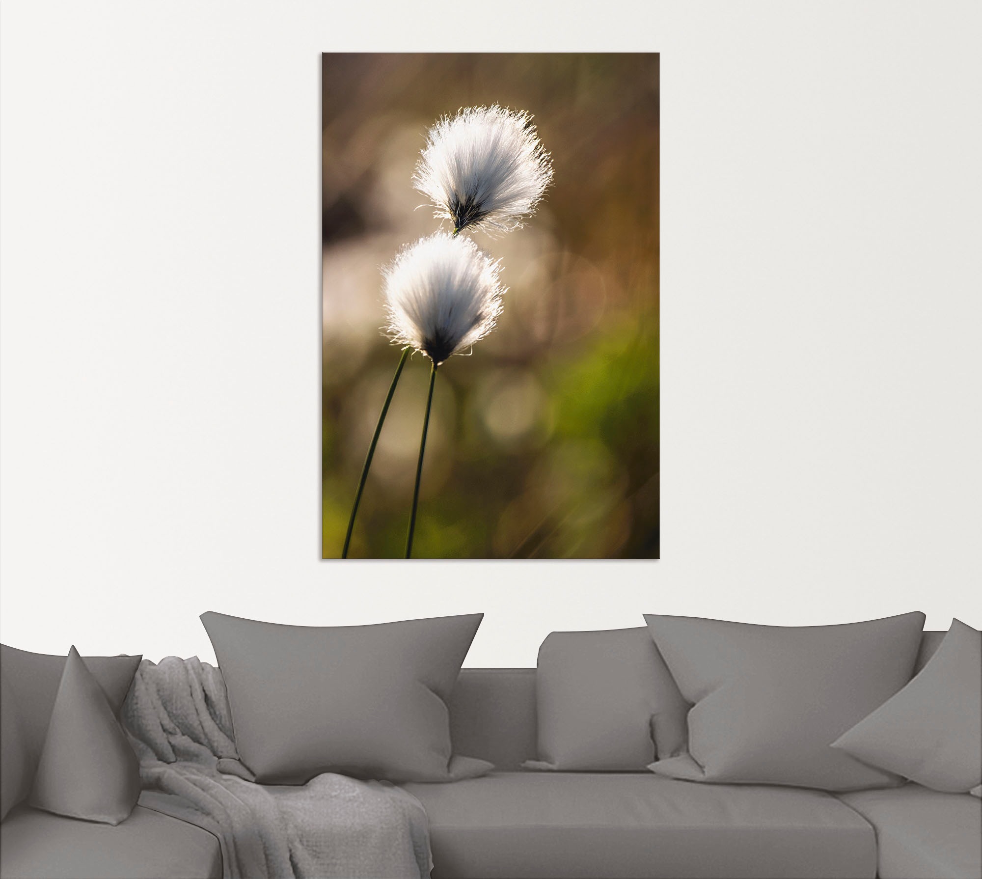 Artland Wandbild »Wollgras I«, Gräser, (1 St.), als Alubild, Outdoorbild, Leinwandbild, Poster in verschied. Größen