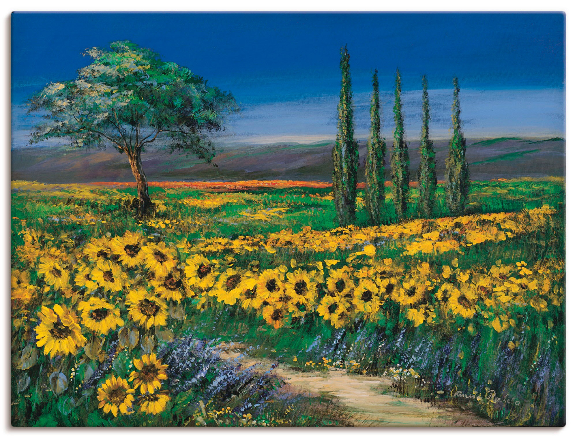 Artland Leinwandbild »Sonnenblumenfeld« 1 Stk. tlg. auf Keilrahmen gespannt günstig online kaufen