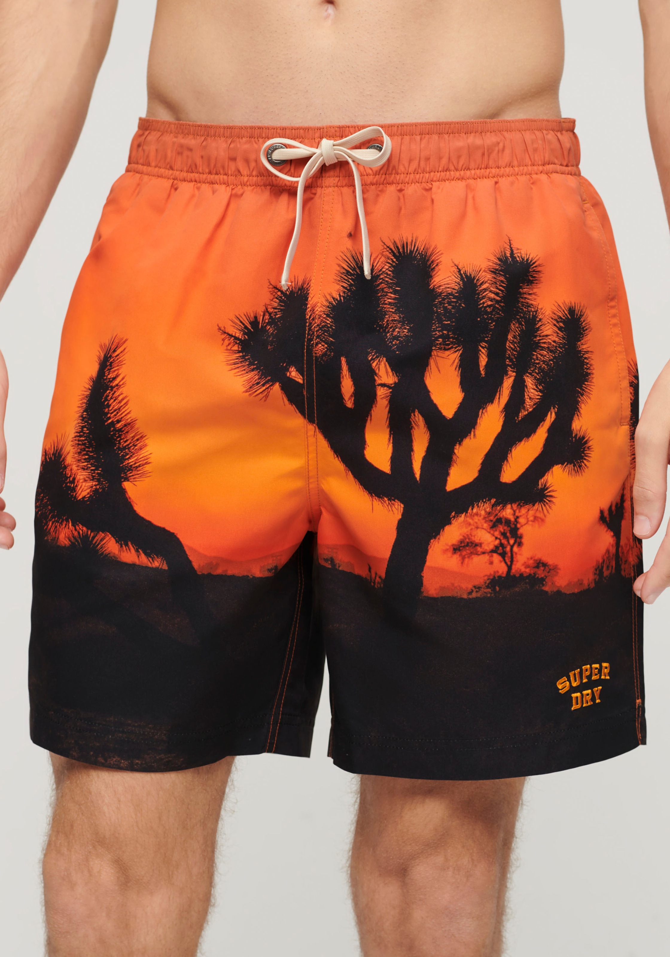 2. Bild von Superdry Badeshorts »SD-PHOTOGRAPHIC 17" SWIM SHORT«