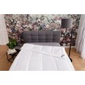 my home Kunstfaserbettdecke »Maret«, leicht, Füllung Polyester, Bezug Polyester, (1 St.), entspannt einschlafen mit einem Hauch von Lavendelduft!